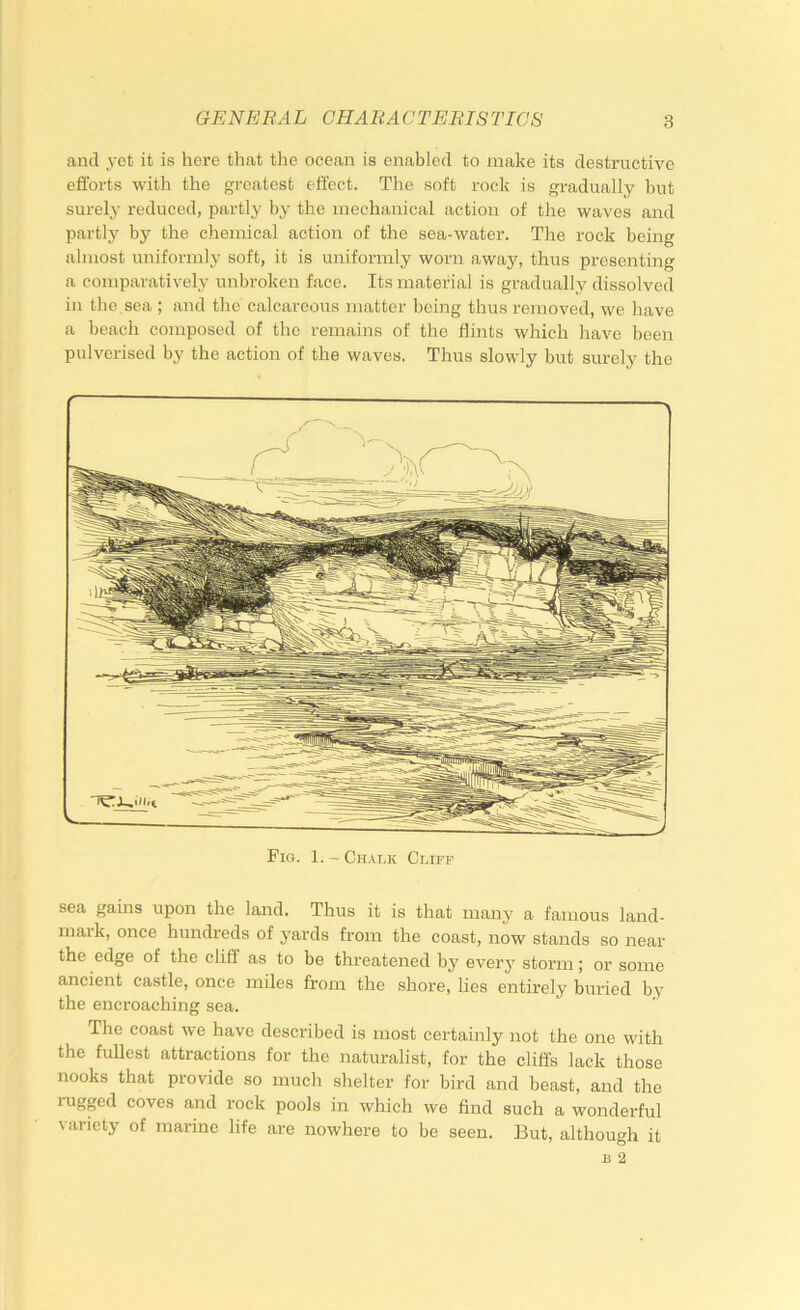 and 3'et it is here that the ocean is enabled to make its destructive efforts with the greatest effect. The soft rock is gradually but surely reduced, partly by the mechanical action of the waves and partly by the chemical action of the sea-water. The rock being almost uniformly soft, it is uniformly worn away, thus presenting a comparatively unbroken face. Its material is gradually dissolved in the sea ; and the calcareous matter being thus removed, we have a beach composed of the remains of the flints which have been pulverised by the action of the waves. Thus slowly but surely the Fig. 1. - Chalk Cliff sea gains upon the land. Thus it is that many a famous land- mark, once hundreds of yards from the coast, now stands so near the edge of the cliff as to be threatened by every storm; or some ancient castle, once miles from the shore, lies entirely buried by the encroaching sea. The coast we have described is most certainly not the one with the fullest attractions for the naturalist, for the cliffs lack those nooks that provide so much shelter for bird and beast, and the ragged coves and rock pools in which we find such a wonderful variety of marine life are nowhere to be seen. But, although it