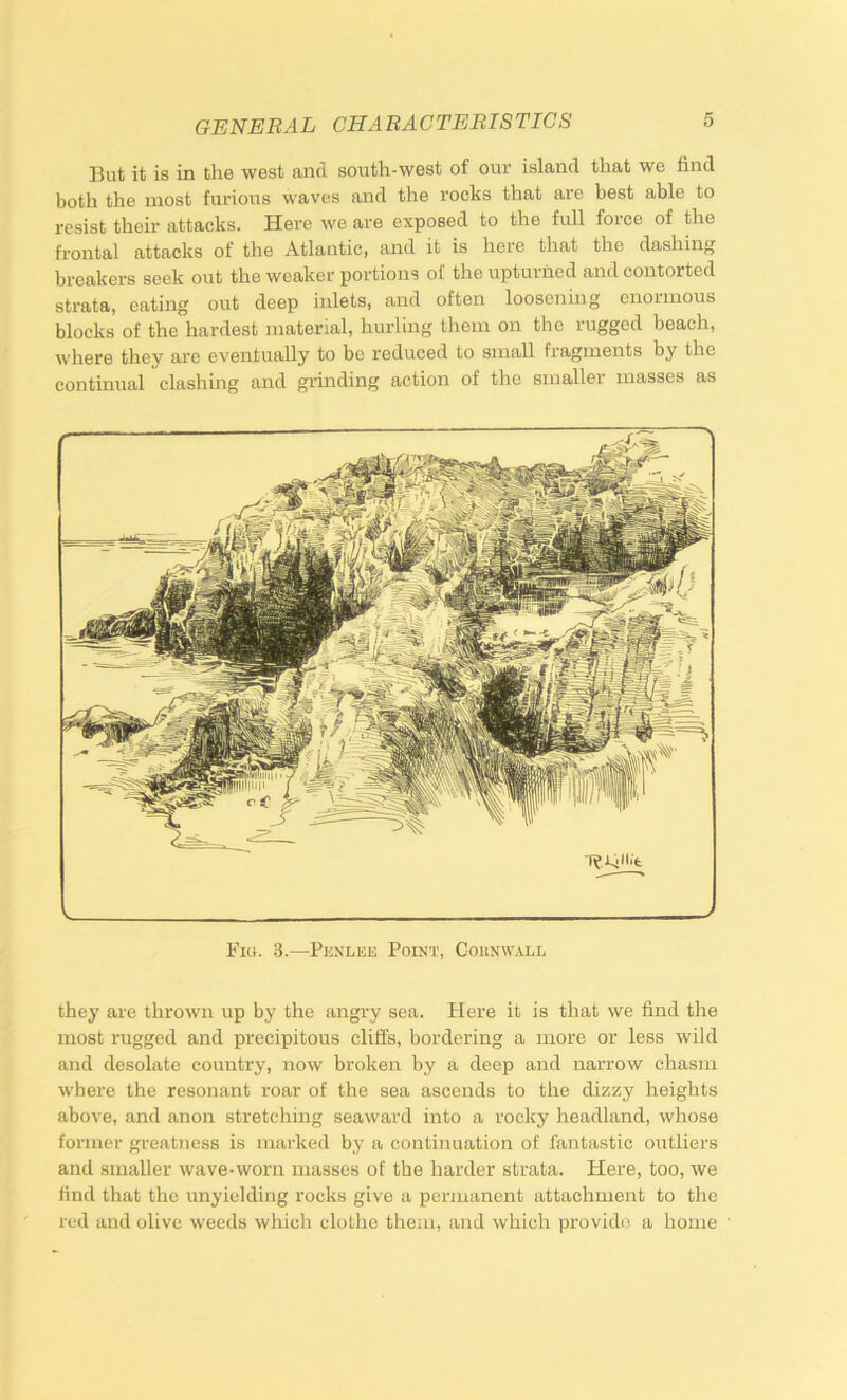 But it is in the west and south-west of our island that we find both the most furious waves and the rocks that are best able to resist their attacks. Here we are exposed to the full force of the frontal attacks of the Atlantic, and it is here that the dashing breakers seek out the weaker portions of the upturned and contorted strata, eating out deep inlets, and often loosening enormous blocks of the hardest material, hurling them on the rugged beach, where they are eventually to be reduced to small fragments by the continual clashing and grinding action of the smaller masses as Fio. 3.—Penuee Point, Goiinwall they are thrown up by the angry sea. Here it is that we find the most rugged and precipitous cliffs, bordering a more or less wild and desolate country, now broken by a deep and narrow chasm where the resonant roar of the sea ascends to the dizzy heights above, and anon stretching seaward into a rocky headland, whose former grccatness is marked by a continuation of fantastic outliers and smaller wave-worn masses of the harder strata. Here, too, we find that the rmyielding rocks give a permanent attachment to the red and olive weeds which clothe them, and which provide a home