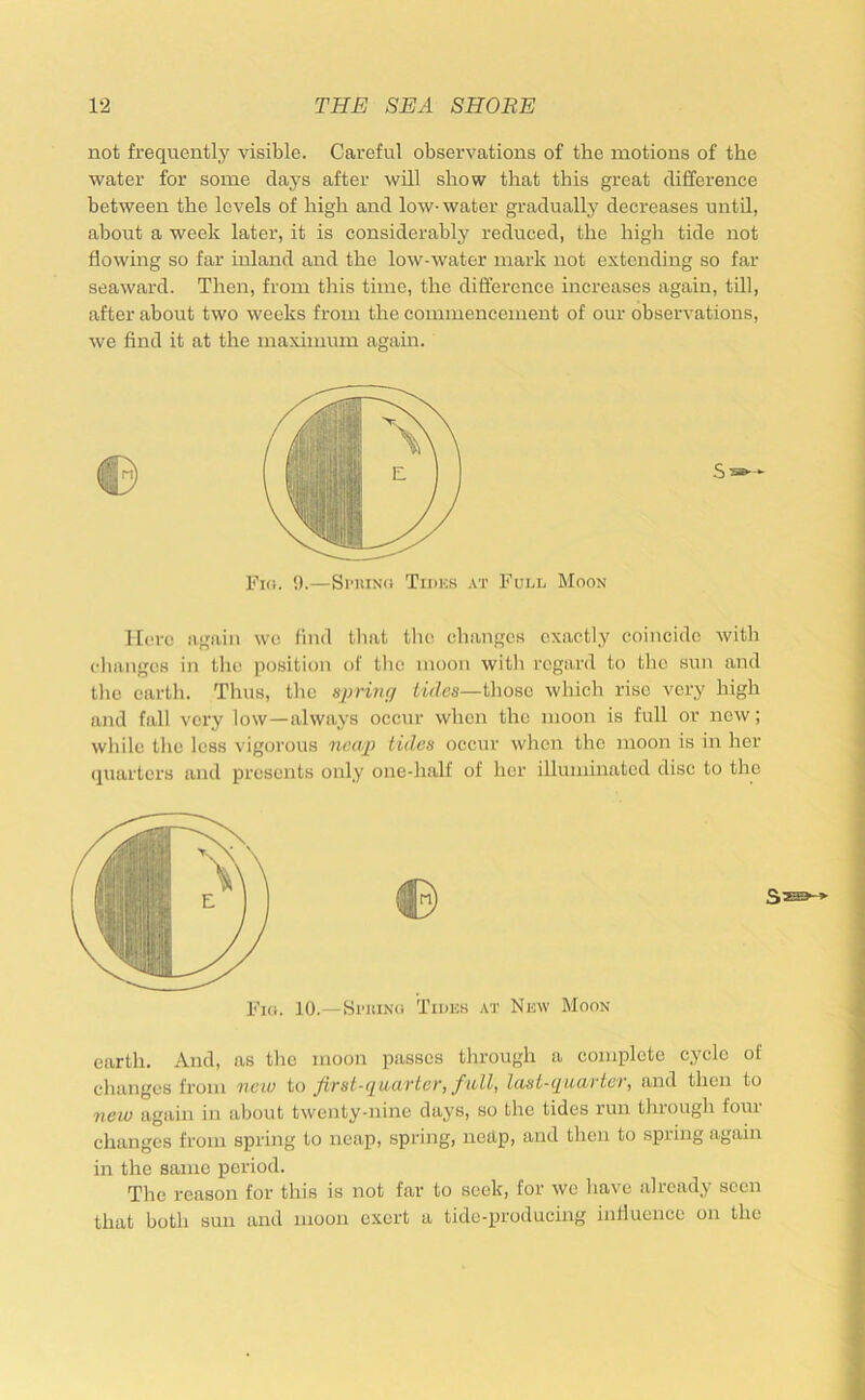 not frequently visible. Careful observations of the motions of the water for some days after will show that this great difference between the levels of high and low- water gradually decreases until, about a week later, it is considerably reduced, the high tide not flowing so far inland and the low-water mark not extending so far seaward. Then, from this time, the difference increases again, till, after about two weeks from the commencement of our observations, we find it at the maximum again. IB Here again wo find tlmt the changes exactly coincide with cliangcs in tlio position of tlic moon with regard to flic sun and the earth. Thus, the spring fwfes—those which rise very high and fall very low—always occur when the moon is full or new; while the less vigorous neap tides occur when the moon is in her quarters and presents only one-half of her illuminated disc to the Fio. !).—Si’niNfi Th>hs at Full Moon Fio. 10.—Si’KiNO Tiuks at New Moon earth. And, as the moon passes through a complete cycle of changes from new to Jirst-guarter, full, last-giiarier, and then to new again in about twenty-nine days, so the tides run through foui changes from spring to neap, spring, neap, and then to spring again in the same period. The reason for this is not far to seek, for we have already seen that both sun and moon exert a tide-producing influence on the