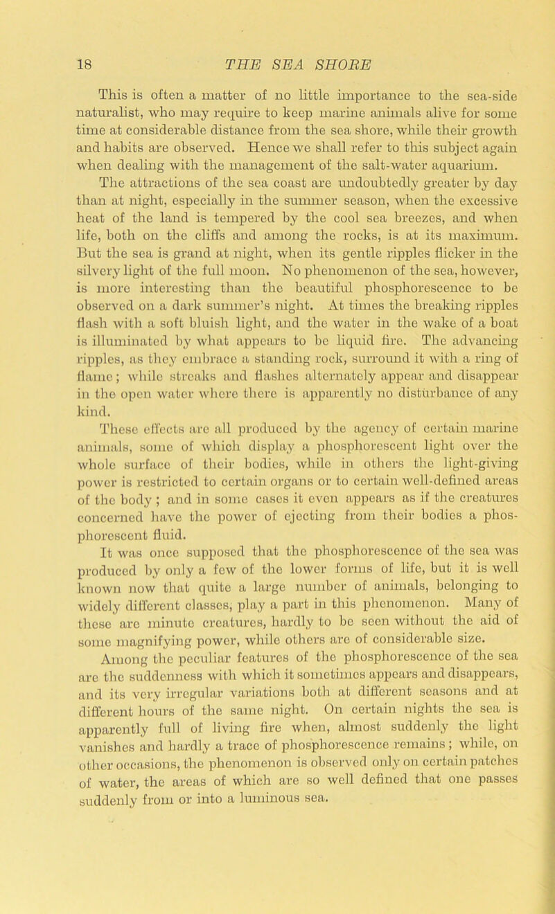 This is often a matter of no little importance to the sea-side naturalist, who may require to keep marine airimals alive for some time at considerable distance from the sea shore, while their growth and habits are observed. Hence we shall refer to this subject again when dealmg with the management of the salt-water aquarium. The attractions of the sea coast are imdoubtedly greater by day than at night, especially in the sununer season, when the excessive heat of the land is tempered by the cool sea breezes, and when life, both on the cliffs and among the rocks, is at its maximum. But the sea is grand at night, when its gentle ripples flicker in the silvery light of the full moon. No phenomenon of the sea, however, is more interesting than the beautiful phosphorescence to be observed on a dark summer’s night. At times the breaking ripples flash with a soft bluish light, and the water in the wake of a boat is illuminated by what appears to be liquid fire. The advancing ripples, as they embrace a standing rock, surround it with a ring of flame; while streaks and flashes alternately appear and disappear in the open water where there is apparently no disturbance of any kind. These effects arc all produced by the agency of certain marine animals, some of wliich display a phosphorescent light over the whole surface of their bodies, while in others the light-giving power is restricted to certain organs or to certain well-defined areas of the body ; and in some cases it even appears as if the creatures concerned have the power of ejecting from their bodies a phos- phorescent fluid. It was once supposed that the phosphorescence of the sea was produced by only a few of the lower forms of life, but it is well known now that quite a large number of animals, belonging to widely different classes, play a part in this phenomenon. Many of these arc minute creatures, hardly to be seen without the aid of some magnifying power, while others arc of considerable size. Among the peculiar features of the phosphorescence of the sea arc the suddenness with which it sometimes appears and disappears, and its very irregular variations both at different seasons and at different hours of the same night. On certain nights the sea is apparently full of living fire when, almost suddenly the light vanishes and hardly a trace of phosphorescence remains; while, on other occasions, the phenomenon is observed only on certain p.atchcs of water, the areas of which are so well defined that one passes suddenly from or into a luminous sea.