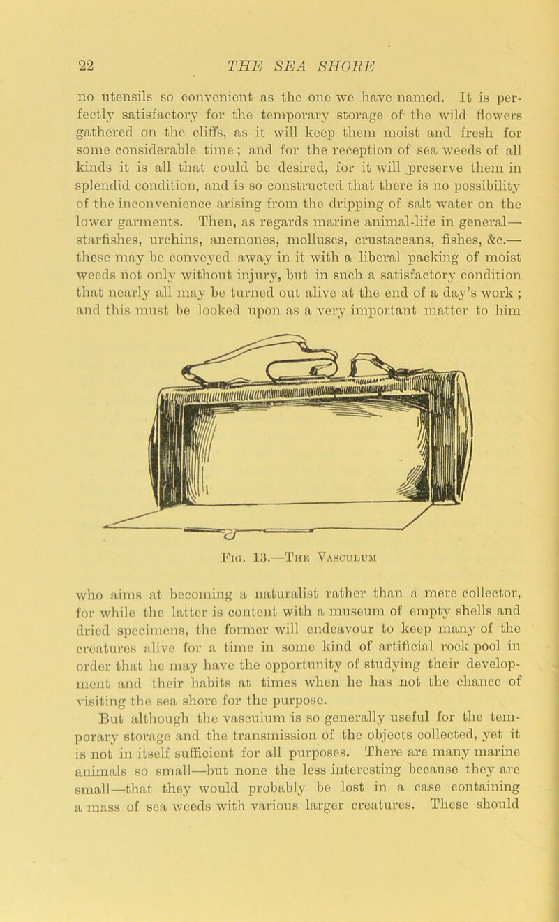 no utensils so convenient as the one we have named. It is per- fectly satisfactory for the temporary storage of tlie wild flowers gathered on the cliffs, as it will keep them moist and fresh for some considerable time; and for the reception of sea weeds of all kinds it is all that could be desired, for it will preserve them in splendid condition, and is so constructed that there is no possibility of the inconvenience arising from the dripping of salt Avater on the lower garments. Then, as regards marine animal-life in general— starfishes, urchins, anemones, molluscs, crustaceans, fishes, &c.— these may be conveyed away in it with a liberal packing of moist weeds not only without injury, but in such a satisfactory condition that nearly all may be turned out alive at the end of a day’s work ; and this must be looked upon as a very important matter to him Fiu. 13.—Tju’, Vasculuji who aims at becoming a naturalist rather than a mere collector, for Avhile tlic latter is content with a museum of empty shells and dried specimens, the former will endeavour to keep many of the creatures alive for a time in some kind of artificial rock pool in order that he may have the opportunity of studying their develop- ment and their habits at times when he has not the chance of A’isiting the sea shore for the purpose. But although the vasculum is so generally useful for the tem- porary storage and the transmission of the objects collected, yet it is not in itself sufficient for all purposes. There are many marine animals so small—but none the less interesting because they are small—that they would probably be lost in a case containing a mass of sea Aveeds Avith A^arious larger creatures. These should