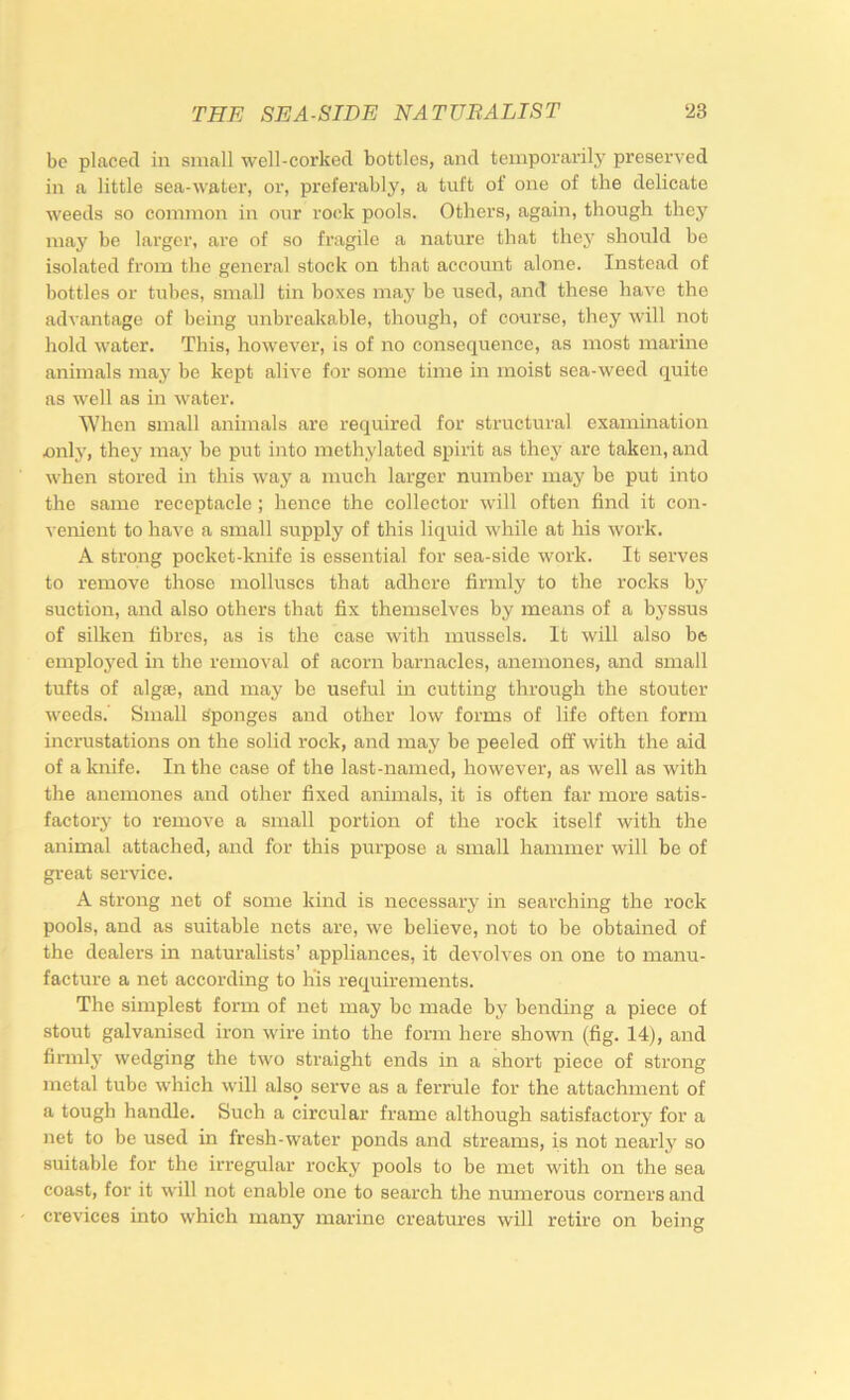 be placed in small well-corked bottles, and temporarily preserved in a little sea-water, or, preferably, a tuft of one of the delicate weeds so common in our rock pools. Others, again, though they may be larger, are of so fragile a nature that they should be isolated from the general stock on that account alone. Instead of bottles or tubes, small tin boxes ma,y be used, and these have the advantage of being unbreakable, though, of course, they will not hold water. This, however, is of no consequence, as most marine animals may be kept alive for some time in moist sea-weed quite as well as in water. When small animals are required for structural examination only, they may he put into methylated spirit as they are taken, and when stored in this way a much larger number may be put into the same receptacle; hence the collector will often find it con- venient to have a small supply of this liquid while at his work. A strong pocket-knife is essential for sea-side work. It serves to remove those molluscs that adhere firmly to the rocks by suction, and also others that fix themselves by means of a byssus of silken fibres, as is the case with mussels. It will also he employed in the removal of acorn barnacles, anemones, and small tufts of algse, and may be useful in cutting through the stouter weeds.' Small Sponges and other low forms of life often form incrustations on the solid rock, and may be peeled off with the aid of a knife. In the case of the last-named, however, as well as with the anemones and other fixed animals, it is often far more satis- factory to remove a small portion of the rock itself with the animal attached, and for this purpose a small hammer will be of great service. A strong net of some kind is necessary in searching the rock pools, and as suitable nets arc, we believe, not to be obtained of the dealers in naturalists’ appliances, it devolves on one to manu- facture a net according to Ins requirements. The simplest form of net may be made by bending a piece of stout galvanised iron wire into the form here shown (fig. 14), and finnl}' wedging the two straight ends in a short piece of strong metal tube which will also serve as a ferrule for the attachment of a tough handle. Such a circular frame although satisfactory for a net to be used in fresh-water ponds and streams, is not nearly so suitable for the irregular rocky pools to be met with on the sea coast, for it will not enable one to search the numerous corners and crevices into which many marine creatures will retire on being