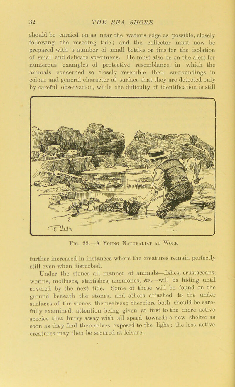 should be carried on as near the water’s edge as possible, closely following the receding tide; and the collector must now be prepared with a number of small bottles or tins for the isolation of small and delicate specimens. He must also be on the alert for numerous examples of protective resemblance, in which the animals concerned so closely resemble their surroundings in colour and general character of surface that they are detected only by careful observation, while the difliculty of identification is still b’lo. 22.—A Young Natuuaust at Wokk further increased in instances where the creatures remain perfectly still even when disturbed. Under the stones all manner of animals—fishes, crustaceans, worms, molluscs, starfishes, anemones, &c.—will be hiding until covered by the next tide, yome of these will be found on the ground beneath the stones, and others attached to the under surfaces of the stones themselves; therefore both should bo care- fully examined, attention being given at first to the more active species that hurry away with all speed towards a new shelter as soon as they find themselves exposed to the light; the loss active creatures may then be secured at leisure.