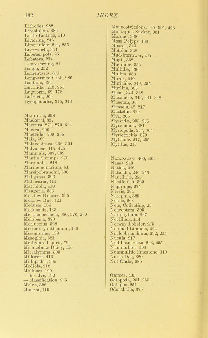 Lithodes, 282 Litosiplion, 883 Little Lettuce, 410 Littorina, 248 Littorinidee, 244, 255 Liverworts, 844 Lobster pots, 26 Lobsters, 274 — preserving, 81. Loligo, 252 Lomeutaria, 871 Long-armed Crab, 286 Lophius, 336 Lucinidce, 213, 255 Lugivorm, 39, 178 Lutraria, 209 Lycopodiales, 845, 348 Machilis, 298 Mackerel, 837 Mucrura, 271, 279, 304 Mactra, 209 Mactridiu, 209, 255 Maia, 289 Malacostraca, 266, 804 Malvaceiu, 415, 425 Mammals, 807, 339 Mantis Shrimps, 270 Marginella, 248 Marine aquarium, 51 Marsipobranchii, 808 Mat-grass, 396 Matricaria, 411 Mattbiola, 418 Maugeria, 36(! Meadow Grasses, 895 Meadow Rue, 421 Mcdu8U3, 184 Medusoids, 183 Mclanosperineu2, 850, 876, 290 Melobesia, 870 Merluccius, 828 Mesembryanthemum, 142 Mesenteries, 189 Mesogloia, 881 Methylated spirit, 72 Michaelmas Daisy, 410 Micralymma, 803 Milkwort, 416 Millepedes, 805 Modiola, 218 Molluscs, 190 — bivalve, 192 — classification, 255 Molva, 828 Monera, 110 Monocotyledons, 847, 391, 423 Montagu’s Sucker, 831 Morone, 338 Moss Polyps, 188 Mosses, 344 Motella, 328 Mud-burrower, 277 Mugil, 882 Mugilidte, 832 Mullidre, 388 Mullus, 338 Murex, 249 Muricidre, 249, 255 Murlins, 385 Musci, 844, 348 Muscineee, 843, 344, 848 Museum, 88 Mussels, 42, 217 Mustelus, 820 Mya, 205 Myacidee, 205, 255 Myrionema, 381 Myriopoda, 257, 805 Myriotrichia, 879 Mytilidro, 217, 255 Mytilus, 217 Naiadaoe/H, 400, 428 Nassa, 249 Natica, 246 Naticidaj, 246, 255 Nautilidoj, 255 Needle-fish, 829 Nephrops, 275 Nereis, 284 Nerophis, 829 Nosoja, 268 Nets, Collecting, 23 Neuroptera, 805 Nitophyllum, 367 Noctiluca, 114 Norway Lobster, 275 Notched Limpets, 242 Nucleobrancliiata, 232, 255 Nucula, 217 Nudibrauchiata, 238, 255 Nummulites, 108 Nunimulitic limestone, 110 Nurse Dog, 820 Nut Crabs, 286 Obione, 405 Octopoda, 251, 265 Octopus, 261 Odonthalia, 875