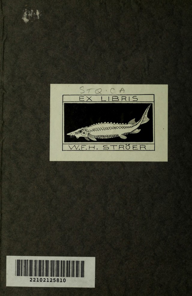 digitised image 2