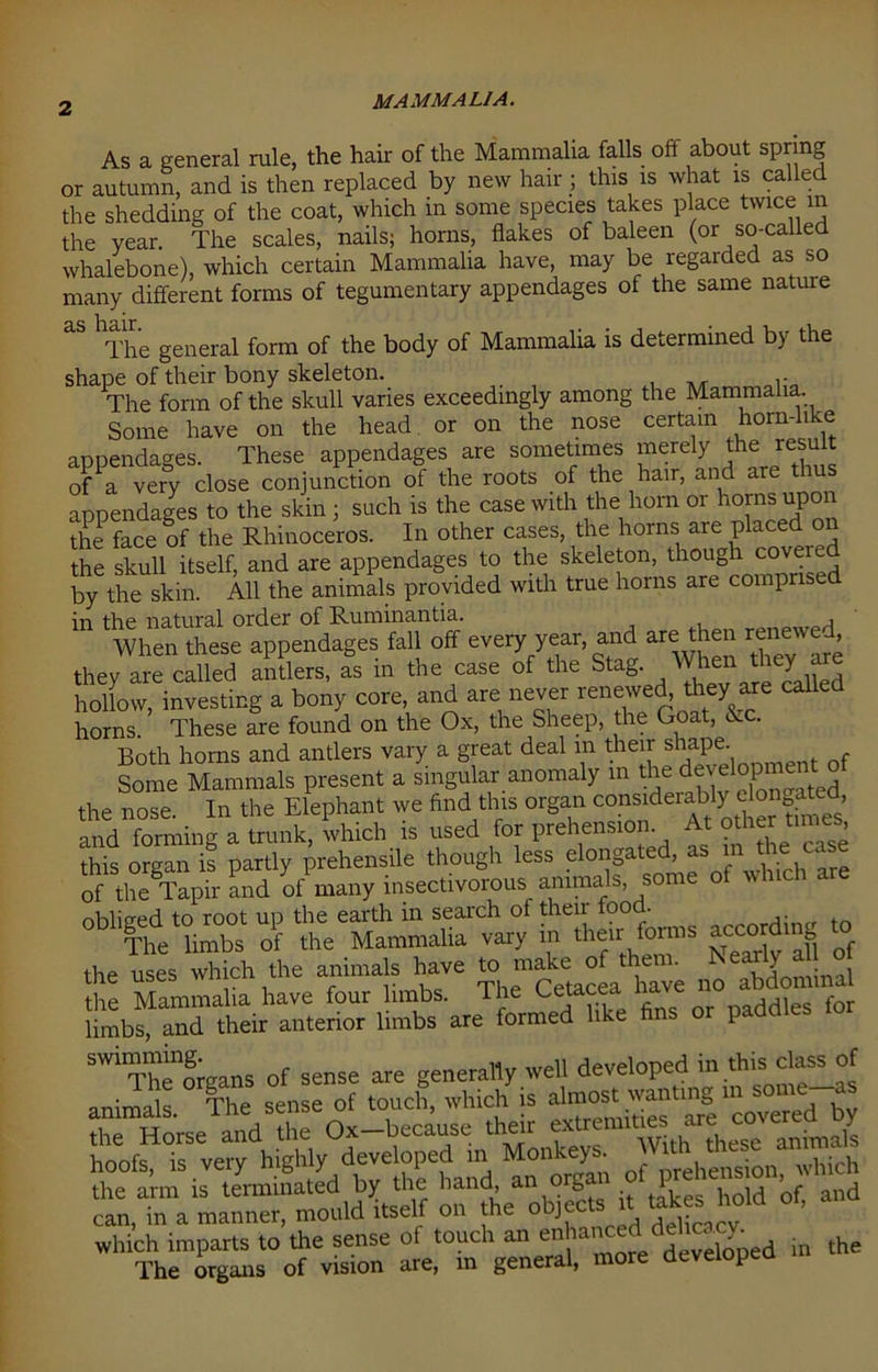 As a general rule, the hair of the Mammalia falls off about spring or autumn, and is then replaced by new hair ; this is what is called the shedding of the coat, which in some species takes place twice in the year. The scales, nails; horns, flakes of baleen (or so-called whalebone), which certain Mammalia have, may be regarded as so many different forms of tegumentary appendages of the same nature aS hThe general form of the body of Mammalia is determined by the shape of their bony skeleton. The form of the skull varies exceedingly among the Mammalia. Some have on the head or on the nose certain horn-like atmendages. These appendages are sometimes merely the result of a very close conjunction of the roots of the hair, and are thus appendages to the skin ; such is the case with the horn or horns upon the face of the Rhinoceros. In other cases, the horns are placed on the skull itself, and are appendages to the skeleton, though covered by the skin. All the animals provided with true horns are comprised in the natural order of Ruminantia. , When these appendages fall off every year, and are then renew , they are called antlers, as in the case of the Stag.T called hollow, investing a bony core, and are never renewed they are called horns. These are found on the Ox, the Sheep, the Goat, Ac. Both horns and antlers vary a great deal m their shaPe- Some Mammals present a singular anomaly m the de^iopment o the nose. In the Elephant we find this organ considerably dongat , and forming a trunk, which is used for prehension At other times this organ is partly prehensile though less elongated as in ^ of the Tapir and of many insectivorous animals, sor obliged to root up the earth in search of their food. t The limbs of the Mammalia vary m then forms according ^ the uses which the animals have to make of the . ] • , l e Mammalia have four limbs. The Cetacea have no abdommal limbs, and their anterior limbs are formed like fins or paddles lor swimming. of seMe are generally well developed in this, cto of animals. The sense of touch, which is al”0S‘^ covered by the Horse and the Ox-because their extremities a anjmJ[ Vinnft; is verv highly developed in Monkeys. \ , . •. the arm is terminated by the hand, an organ o J?re “'[“'of' and can, in a manner, mould itself on the objects i hold ot, which imparts to the sense ol touch an enfa“ed delicacy The organs of vision are, in general, more developea