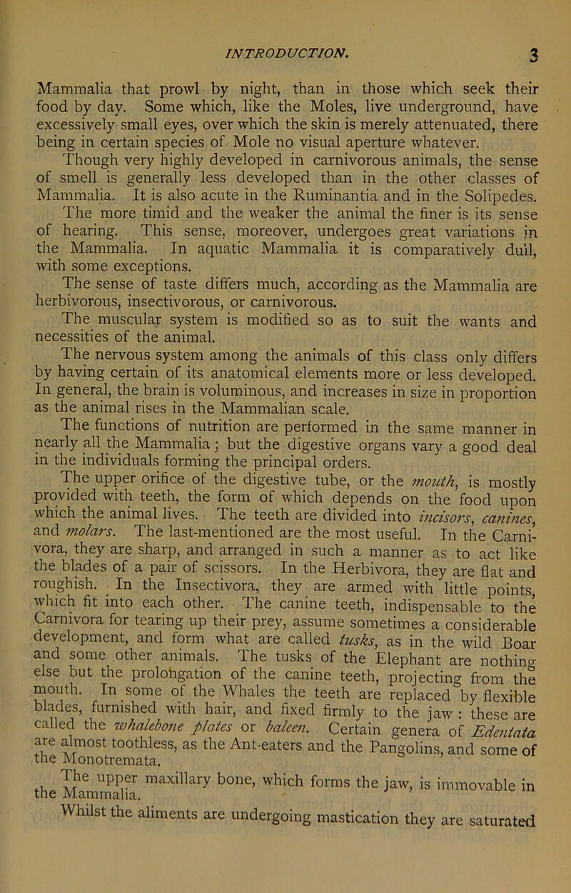 Mammalia that prowl by night, than in those which seek their food by day. Some which, like the Moles, live underground, have excessively small eyes, over which the skin is merely attenuated, there being in certain species of Mole no visual aperture whatever. Though very highly developed in carnivorous animals, the sense of smell is generally less developed than in the other classes of Mammalia. It is also acute in the Ruminantia and in the Solipedes. The more timid and the weaker the animal the finer is its sense of hearing. This sense, moreover, undergoes great variations in tlie Mammalia. In aquatic Mammalia it is comparatively dull, with some exceptions. The sense of taste differs much, according as the Mammalia are herbivorous, insectivorous, or carnivorous. The muscular system is modified so as to suit the wants and necessities of the animal. The nervous system among the animals of this class only differs by having certain of its anatomical elements more or less developed. In general, the brain is voluminous, and increases in size in proportion as the animal rises in the Mammalian scale. The functions of nutrition are performed in the same manner in nearly all the Mammalia; but the digestive organs vary a good deal in the individuals forming the principal orders. The upper orifice of the digestive tube, or the mouth, is mostly provided with teeth, the form of which depends on the food upon which the animal lives. The teeth are divided into incisors, canines, and molars. The last-mentioned are the most useful. In the Carni- vora, they are sharp, and arranged in such a manner as to act like the blades of a pair of scissors. In the Herbivora, they are flat and roughish. In the Insectivora, they are armed with little points, which fit into each other. The canine teeth, indispensable to the Carnivora for tearing up their prey, assume sometimes a considerable development, and form what are called tusks, as in the wild Boar and some other animals. The tusks of the Elephant are nothin°- else but the prolongation of the canine teeth, projecting from the mouth. In some of the Whales the teeth are replaced by flexible blades, furnished with hair, and fixed firmly to the jaw : these are called the whalebone plates or baleen. Certain genera of Edentata are almost toothless, as the Ant-eaters and the Pangolins, and some of the Monotremata. the Mammalia maxilkry b°ne’ which forms the Jaw> is immovable in Whilst the aliments are undergoing mastication they are saturated