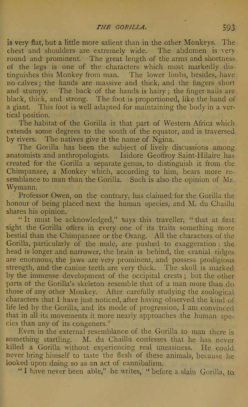 is very flat, but a little more salient than in the other Monkeys. The chest and shoulders are extremely wide. The abdomen is very round and prominent. The great length of the arms and shortness of the legs is one of the characters which most markedly dis- tinguishes this Monkey from man. The lower limbs, besides, have no calves; the hands are massive and thick, and the fingers short and stumpy. The back of the hands is hairy; the finger-nails are black, thick, and strong. The foot is proportioned, like the hand of a giant. This foot is well adapted for maintaining the body in a ver- tical position. The habitat of the Gorilla is that part of Western Africa which extends some degrees to the south of the equator, and is traversed by rivers. The natives give it the name of Ngina. The Gorilla has been the subject of lively discussions among anatomists and anthropologists. Isidore Geoffroy Saint-Hilaire has created for the Gorilla a separate genus, to distinguish it from the Chimpanzee, a Monkey which, according to him, bears more re- semblance to man than the Gorilla. Such is also the opinion of Mr. Wymann. Professor Owen, on the contrary, has claimed for the Gorilla the honour of being placed next the human species, and M. du Chaillu shares his opinion. “ It must be acknowledged,” says this traveller, “ that at first sight the Gorilla offers in every one of its traits something more bestial than the Chimpanzee or the Orang. All the characters of the Gorilla, particularly of the male, are pushed to exaggeration : the head is longer and narrower, the brain is behind, the cranial ridges are enormous, the jaws are very prominent, and possess prodigious strength, and the canine teeth are very thick. The skull is marked by the immense development of the occipital crests; but the other parts of the Gorilla’s skeleton resemble that of a man more than do those of any other Monkey. After carefully studying the zoological characters that I have just noticed, after having observed the kind of life led by the Gorilla, and its mode of progression, I am convinced that in all its movements it more nearly approaches the human spe- cies than any of its congeners.” Even in the external resemblance of the Gorilla to man there is something startling. M. du Chaillu confesses that he has never killed a Gorilla without experiencing real uneasiness. He could never bring himself to taste the flesh of these animals, because he looked upon doing so as an act of cannibalism. “ I have never been able,” he writes, “ before a slain Gorilla, to