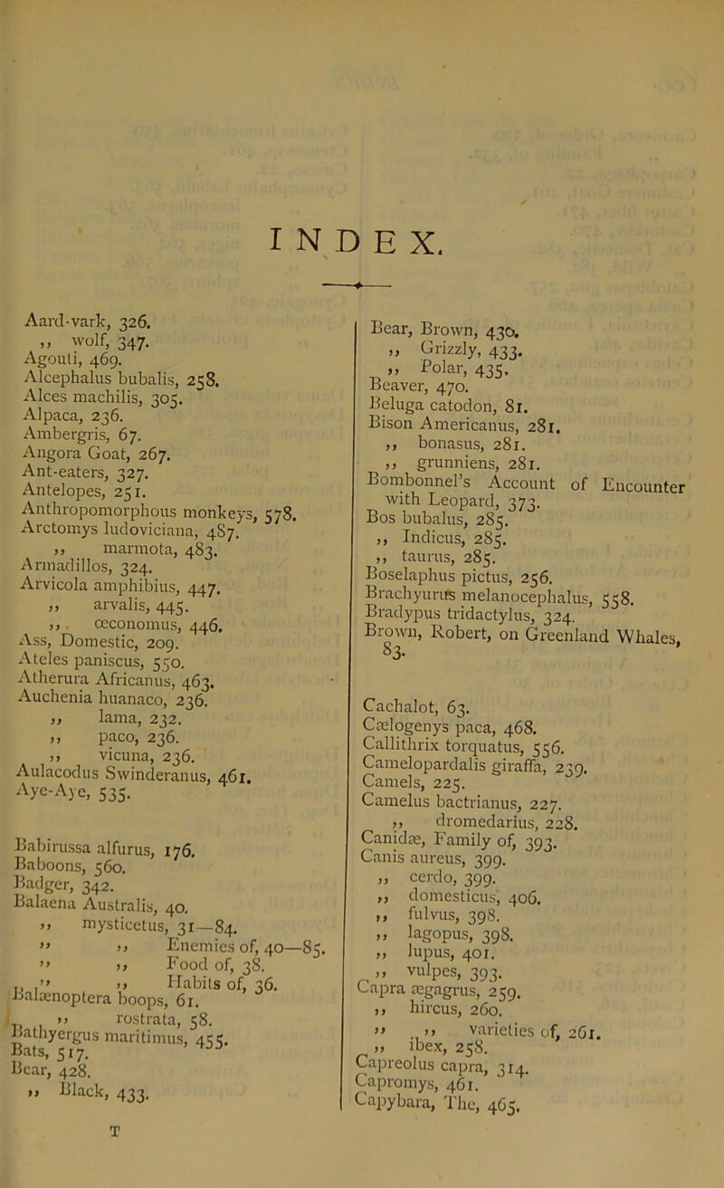 INDEX. Aard-vark, 326. ,, wolf, 347. Agouti, 469. Alcephalus bubalis, 258. Alces machilis, 305. Alpaca, 236. Ambergris, 67. Angora Goat, 267. Ant-eaters, 327. Antelopes, 251. Anthropomorphous monkeys, 578. Arctomys ludoviciana, 4S7. ,, marmota, 4S3. Armadillos, 324. Arvicola amphibius, 447. „ arvalis, 445. ,, ceconomus, 446. Ass, Domestic, 209. Ateles paniscus, 550. Atherura Africanus, 463. Auchenia huanaco, 236. ,, lama, 232. ,, paco, 236. >> vicuna, 236. Aulacodus Swinderanus, 461. Aye-Aye, 535. Babirussa alfurus, 176. Baboons, 560. Badger, 342. Balaena Australis, 40. >, mysticetus, 31—84. ” >> Enemies of, 40- ” >> Food of, 38. „ >> Habits of, 36. Balamoptera boops, 61. >. rostrata, 58. Bathyergus maritimus, 43?. Bats, si7. ’ ^ Bear, 428. » Black, 433. Bear, Brown, 430. „ Grizzly, 433. „ Polar, 435. Beaver, 470. Beluga catodon, 81. Bison Americanus, 281. ,, bonasus, 281. ,, grunniens, 281. Bombonnel’s Account of Encounter with Leopard, 373. Bos bubalus, 285. ,, Indicus, 285. ,, taurus, 285. Boselaphus pictus, 256. Brachyurits melanocephalus, 558. Bradypus tridactylus, 324. Brown, Robert, on Greenland Whales. 83- Cachalot, 63. Ctelogenys paca, 468. Callithrix torquatus, 556. Camelopardalis giraffa, 239. Camels, 225. Camelus bactrianus, 227. ,, dromedarius, 228. Canidte, Family of, 393. Cards aureus, 399. ,, cerdo, 399. ,, domesticus; 406. ,, fulvus, 398. „ lagopus, 398. „ lupus, 401. t >» vulpes, 393. Capra tegagrus, 259. ,, hi reus, 260. ” . >> varieties of, 2C1. >> ibex, 258. Capreolus capra, 314. Capromys, 461. Capybara, The, 465. T