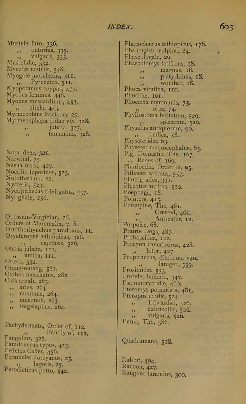 Mustek furo, 336. >> putorius, 335. „ vulgaris, 335. Mustelidse, 332. Mycetes ursinus, 54S. Myogale moschatus, 511. ,, Pyrenaica, 511. Myopotamus cuypus, 477. Myodes lemmus, 44S. Myoxus muscardinus, 433. » nitela, 453. Myrmecobius fasciatus, 29. Myrmecophaga didaclyla, 32S. ,, jubata, 327. ,, tamandua, 32S. Napu deer, 321. Narwhal, 75, Nasua fusca, 427. Noctilio leporinus, 523. Nototherium, 22. Nycteris, 523. Nyctipithecus trivirgatus, 557. Nyl ghaie, 256. Opossum-Virginian, 26. Orders of Mammalia, 7, 8. Ornithorhynchus paradoxus, 11. Orycteropus Eethiopicu's, 326. >> capensis, 326. Otariajubata, nr. ,, ursina, in. Otters, 332. Orang-outang, 581. Ovibos moschatus, 282. Ovis argali, 263. ,, aries, 264. ,, mon tana, 264. ,, musimon, 263. ,, tragelaphus, 264. Pachydermata, Order of, 112. )> Family of, 112. Pangolins, 328. Paradoxurus typus, 425. Pedetes Gaffer, 456. Perameles doreyanus, 25. >» lagotis, 25. Perodicticus potto, 542. Phacochterus tethiopicus, 176. Phalangista vulpina, 24. Phascologale, 29. Phascolomys latifrons, 18. ,, magnus, 18. ,, platyrhinus, 18. ,, wombat, 18. Phoca vitulina, no. Phocidae, 101. Phocaena communis, 73, ,, 01-ca, 74. Phyllostoma hastatum, 529. ,, spectrum, 526. Physalus antiquorum, 90. ,, Indica, 58. Physeteridae, 63. Physeter macrocephalus, 63, Pig, Domestic, The, 167. ,, Races of, 169. Pinnipedia, Order of, 95. Pithecus satanus, 557. Plantigrades, 331. Plecotus auritus, 522. Poephaga, 18. Pointers, 415. Porcupine, The, 461. ,, Crested, 461. ,, Ant-eater, 12. Porpoise, 68. Prairie Dogs, 487. Proboscidea, 112. Procyon cancrivorus, 428. ,, lotor, 427. Propithecus, diadema, 540. „ laniger, 539. Prosimidae, 533. Proteles balandi, 347. Psammoryctidae, 460. Pteromys petaurista, 481. Pteropus edulis, 524. ,, Edwardsii, 526. ,, rubricollis, 526. „ vulgaris, 526, Puma, The, 386. Quadrumana, 528. Rabbit, 494. Racoon, 427. Rangifer tarandus, 300.