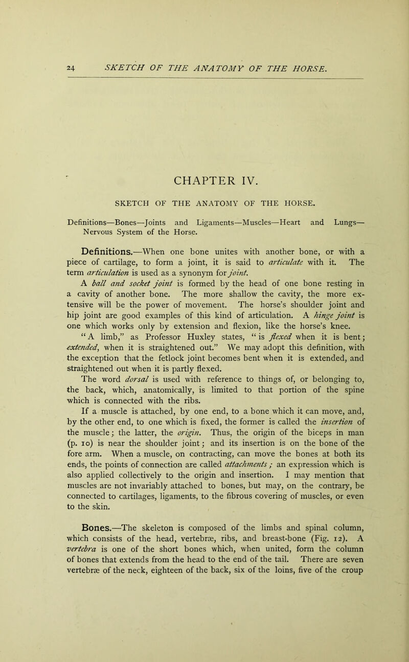 CHAPTER IV. SKETCH OF THE ANATOMY OF THE HORSE. Definitions—Bones—Joints and Ligaments—Muscles—Heart and Lungs— Nervous System of the Horse. Definitions.—When one bone unites with another bone, or with a piece of cartilage, to form a joint, it is said to articulate with it. The term articulation is used as a synonym for joint. A ball and socket joint is formed by the head of one bone resting in a cavity of another bone. The more shallow the cavity, the more ex- tensive will be the power of movement. The horse’s shoulder joint and hip joint are good examples of this kind of articulation. A hinge joint is one which works only by extension and flexion, like the horse’s knee. “ A limb,” as Professor Huxley states, “ is flexed when it is bent; extended, when it is straightened out.” We may adopt this definition, with the exception that the fetlock joint becomes bent when it is extended, and straightened out when it is partly flexed. The word dorsal is used with reference to things of, or belonging to, the back, which, anatomically, is limited to that portion of the spine which is connected with the ribs. If a muscle is attached, by one end, to a bone which it can move, and, by the other end, to one which is fixed, the former is called the insertioji of the muscle; the latter, the origin. Thus, the origin of the biceps in man (p. io) is near the shoulder joint; and its insertion is on the bone of the fore arm. When a muscle, on contracting, can move the bones at both its ends, the points of connection are called attachme?its ; an expression which is also applied collectively to the origin and insertion. I may mention that muscles are not invariably attached to bones, but may, on the contrary, be connected to cartilages, ligaments, to the fibrous covering of muscles, or even to the skin. Bones.—The skeleton is composed of the limbs and spinal column, which consists of the head, vertebrae, ribs, and breast-bone (Fig. 12). A vertebra is one of the short bones which, when united, form the column of bones that extends from the head to the end of the tail. There are seven vertebrae of the neck, eighteen of the back, six of the loins, five of the croup