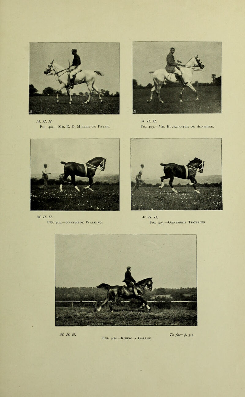 M. H. H. Fig. 402.—Mr. E. D. Miller on Peter. M. II. II. Fig. 403.—Mr. Buckmaster on Sunshine. M. II. H. Fig. 404.—Ganymede Walking. M. H. H. Fig. 405.—Ganymede Trotting. M. H. H. Fig. 406.—Riding a Gallop. To face p. 314.