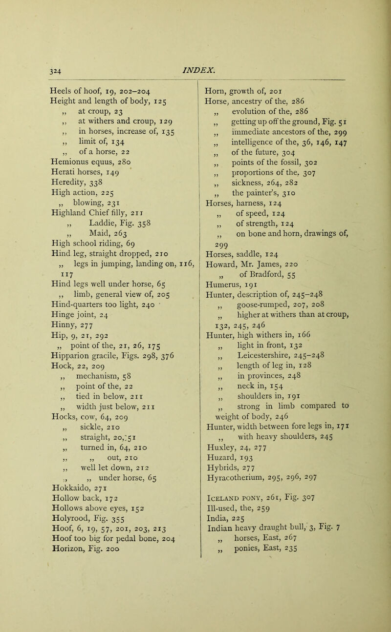 Heels of hoof, 19, 202-204 Height and length of body, 125 ,, at croup, 23 ,, at withers and croup, 129 ,, in horses, increase of, 135 ,, limit of, 134 ,, of a horse, 22 Hemionus equus, 280 Herati horses, 149 Heredity, 338 High action, 225 „ blowing, 231 Highland Chief filly, 211 „ Laddie, Fig. 358 ,, Maid, 263 High school riding, 69 Hind leg, straight dropped, 210 „ legs in jumping, landing on, 116, 117 Hind legs well under horse, 65 ,, limb, general view of, 205 Hind-quarters too light, 240 Hinge joint, 24 Hinny, 277 Hip, 9, 2i, 292 „ point of the, 21, 26, 175 Hipparion gracile, Figs. 298, 376 Hock, 22, 209 ,, mechanism, 58 ,, point of the, 22 ,, tied in below, 211 ,, width just below, 211 Hocks, cow, 64, 209 „ sickle, 210 „ straight, 20,^51 „ turned in, 64, 210 „ „ out, 210 ,, well let down, 2 t 2 ., ,, under horse, 65 Hokkaido, 271 Hollow back, 172 Hollows above eyes, 152 Holyrood, Fig. 355 Hoof, 6, 19, 57, 201, 203, 213 Hoof too big for pedal bone, 204 Horizon, Fig. 200 Horn, growth of, 201 Horse, ancestry of the, 286 „ evolution of the, 286 ,, getting up off the ground, Fig. 51 „ immediate ancestors of the, 299 „ intelligence of the, 36, 146, 147 „ of the future, 304 „ points of the fossil, 302 ,, proportions of the, 307 ,, sickness, 264, 282 ,, the painter’s, 310 Horses, harness, 124 ,, of speed, 124 ,, of strength, 124 ,, on bone and horn, drawings of, 299 Horses, saddle, 124 Howard, Mr. James, 220 „ of Bradford, 55 Humerus, 191 Hunter, description of, 245-248 ,, goose-rumped, 207, 208 „ higher at withers than at croup, 132, 245, 246 Hunter, high withers in, 166 „ light in front, 132 ,, Leicestershire, 245-248 ,, length of leg in, 128 ,, in provinces, 248 ,, neck in, 154 „ shoulders in, 191 „ strong in limb compared to weight of body, 246 Hunter, width between fore legs in, 171 ,, with heavy shoulders, 245 Huxley, 24, 277 Huzard, 193 Hybrids, 277 Hyracotherium, 295, 296, 297 Iceland pony, 261, Fig. 307 Ill-used, the, 259 India, 225 Indian heavy draught bull, 3, Fig. 7 „ horses, East, 267 „ ponies, East, 235