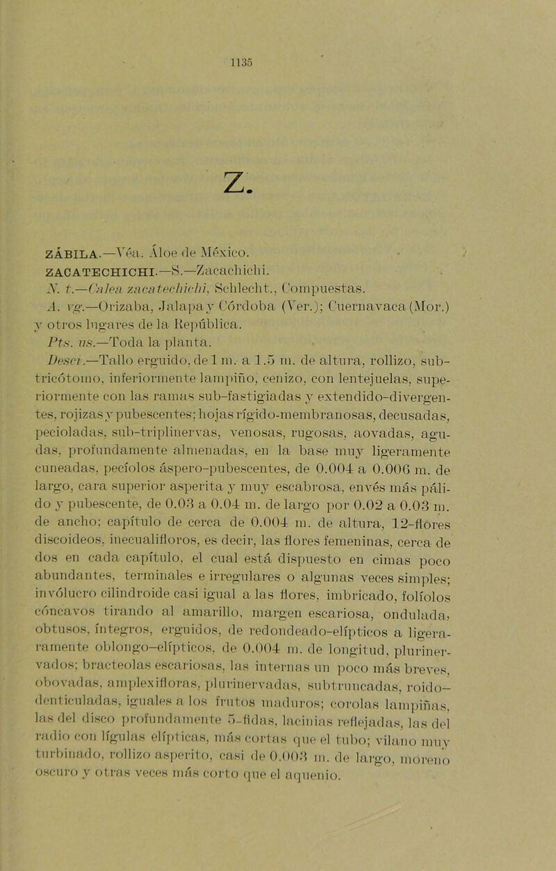 ZABILA.—Véa. Áloe de México. > ZACATECHICHI.—S.—Zacachichi. *V. t.—Cnlen zacntechichi, 8clileclit., ('oinpuestas. .1. —Orizaba, Jalai)a3’ Córdoba (Ver.); Cueriiavaca (iMor.) y oti'o.s Ing-ares de la Re])ública. Pt.s. /78.—Toda la jdanta. Ihsn.—Tallo erg-uido, del ni. a 1.5 m. de altura, rollizo, siib- tricótoino, iní'eriorinente lampiño, cenizo, con lentejuelas, supe- riormente con las ramas sub-fastigiadas y extendido-clivergen- tes, rojizas 3' pubescentes; hojas rígido-membranosas, decusadas, pecioladas, sub-triplinervas, venosas, rugosas, aovadas, agu- das, profundamente almenadas, en la base 111113^ ligeramente cuneadas, pecíolos áspero-pubescentes, de 0.004 a 0.006 m. de largo, cara superior asperita 3^ 111113^ escabrosa, envés más páli- do 3- pubescente, de 0.08 a 0.04 m. de largo por 0.02 a 0.03 m. de ancho; capítulo de cerca de 0.004 m. de altura, 12-flores discoideos, inecnalifloros, es decir, las flores femeninas, cerca de dos en cada capítulo, el cual está dispuesto en cimas poco abundantes, terminales e irregulares o algunas veces simples; involucro cilindroide casi igual alas flores, imbricado, folíolos cóncavos tii-ando al amarillo, maigen escario.sa, ondulada) obtusos, íntegros, erguidos, de redondeado-elíi)ticos a ligera- ramente oblongo-elípticos, de 0.004 m. de longitud, pluriner- vaflos; bracteolas escariosas, las internas un ])oco má-s breves, ol)f)vadas, amplexifloras, plurinei'vadas, subtruncadas, roido— denticuladas, iguales a los frutos maduros; corolas lampiñas, las del disco i)rofundnmente 5-fldas, lacinias reflejadas, las del radio con lígulas elíplicas, más coilas que el tulni; vilaiio muy turbimulo, rollizo asperito, casi de 0.00.8 m. de largo, moreno oscuro y otras veces más corto (]U(' el mpienio.