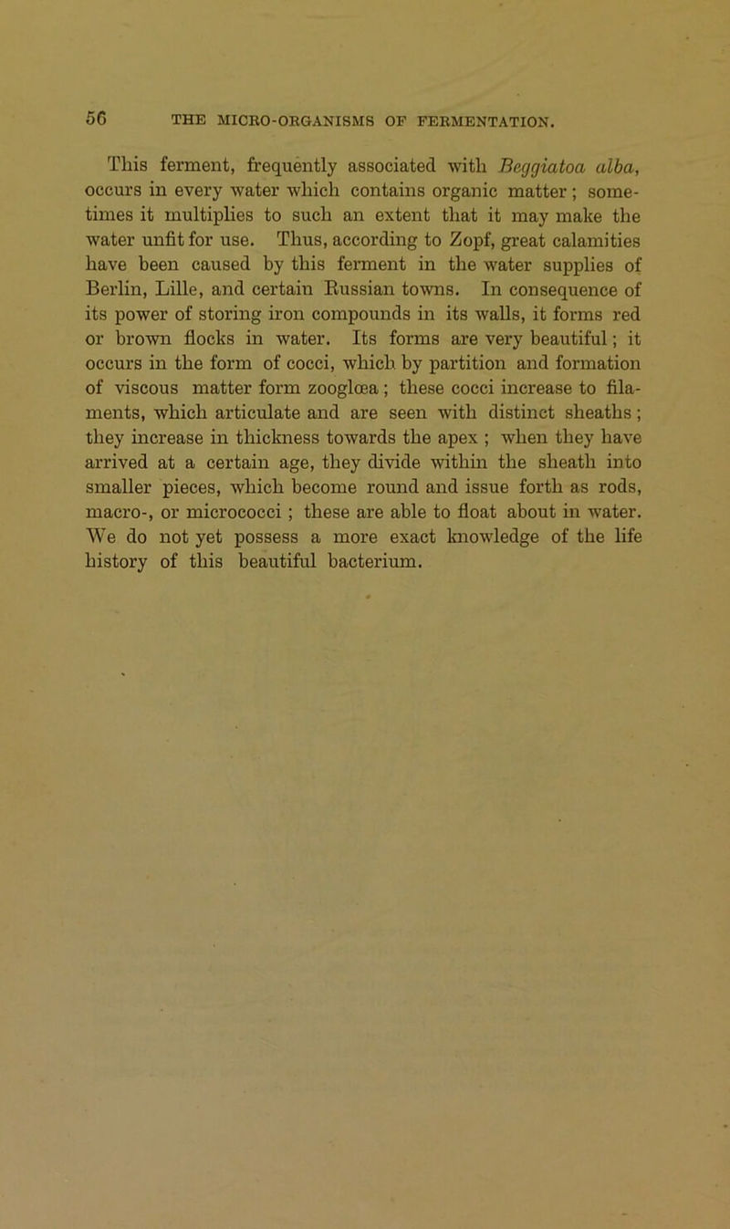 This ferment, frequently associated witli Beggiatoa alba, occurs in every water whicli contains organic matter ; some- times it multiplies to such an extent that it may make the water unfit for use. Thus, according to Zopf, great calamities have beeil caused by tbis ferment in the water supplies of Berlin, Lille, and certain Eussian towns. In consequence of its power of storing iron compounds in its waUs, it forms red or brown flocks in water. Its forms are very beautiful; it occurs in the form of cocci, wbicb by partition and formation of viscous matter form zooglcea; tbese cocci increase to fila- ments, wbicb articulate and are seen witb distinct sbeatbs; tbey increase in tbickness towards tbe apex ; wben tbey have arrived at a certain age, tbey divide witbin tbe sbeatb into smaller pieces, wbicb become round and issue fortb as rods, macro-, or micrococci; tbese are able to float about in water. We do not yet possess a more exact knowledge of tbe life bistory of tbis beautiful bacterium.