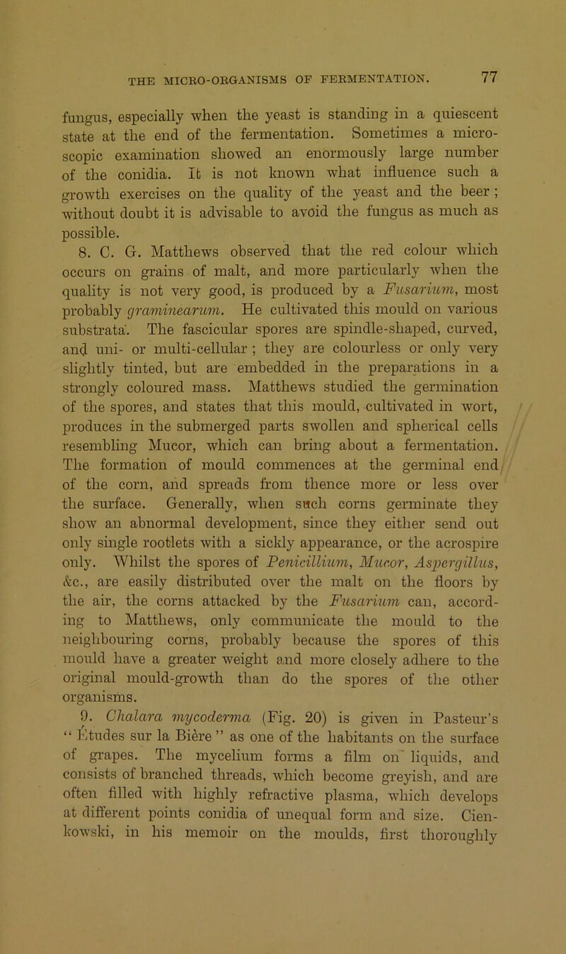 fiingus, especially when the yeast is standing in a quiescent state at the end of the fermentation. Sometimes a micro- scopic examination showed an enormously large numher of the conidia. It is not Imown what influence such a growth exercises on the quality of the yeast and the beer ; •\vithout doubt it is advisable to avoid the fungus as much as possible. 8. C. G. Matthews observed that the red eolour which occurs on grains of malt, and more particularly when the quality is not very good, is produced by a Fusarium, most probably graminearum. He cultivated this mould on various substrata. The fascicular spores are spindle-shaped, curved, and mii- or multi-cellular ; they are colourless or only very slightly tinted, but are embedded in the preparations in a strongly coloured mass. Matthews studied the germination of the spores, and states that this mould, cultivated in wort, produces in the submerged parts swollen and spherical cells resembling Mucor, which can bring about a fermentation. The formation of mould commences at the germinal end of the corn, and spreads from thence more or less over the surface. Generally, when such corns germinate they show an abnormal development, since they either send out only smgle rootlets with a sicldy appearance, or the acrospire only. Whilst the spores of Penicillmm, Fhiaor, Aspergillus, etc., are easily distributed over the malt on the floors by the air, the corns attacked by the Fusarium can, accord- ing to Matthews, only communicate the mould to the neighbouring corns, probably because the spores of this mould have a greater weight and more closely adhere to the original mould-growth than do the spores of the other organisms. 9. Chalara mycoderma (Fig. 20) is given in Pasteur’s “ Ktudes sur la Bi^re ” as one of the habitants on the surface of grapes. The mycelium forms a film on liquids, and consists of branched threads, which become greyish, and are often filled with highly refractive plasma, which develops at different points conidia of unequal form and size. Cien- kowski, in Ins memoir on the moulds, first thoroughly