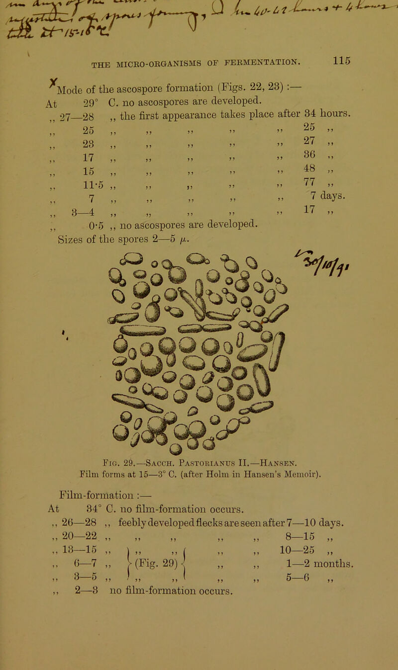 '““Är-'-f-ij’ Ü THE MICBO-OBGANISMS OF FEBMENTATION. 115 Alode of tlie ascospore forniation (Figs. 22, 23) :— At *29° C. no ascospores are developed. 27 28 ,, tlie first appearance takes place after 34 hours. I 2o ,, tt ” I 23 ,, ,) )> ” 17 ,, )> M ” I 15 ,, I) I! ” I 11'5 ,, ,, s) >> I 7 ,, )) ij >> I 3—4 ,) ,, )) i> , 0’5 ,, no ascospores are developed. Sizes of tlie spores 2—5 /x. cO o Oq 25 27 „ 36 ,, 48 „ 77 „ 7 days. 17 „ ti Fig. 29.—Sacch. Pastorianus II.—Hansen. Film forms at 15—3° C. (after Holm in Hansen’s Memoir). Film-formation :— At 34° C. no film-formation occurs. ,,26—28 ,, feebly developedfiecks are seen after 7—10 days. „ 20—22 „ „ „ „ „ 8—15 „ 13—15 ,, I ,, ,, I ,, ,, 10—25 ,, ,, 6—7 ,, > (Fig. 29)- ,, ,, 1—2 months. 3—5 „ ) „ „ I „ „ 5—6 „ ,, 2—3 no film-formation occurs.