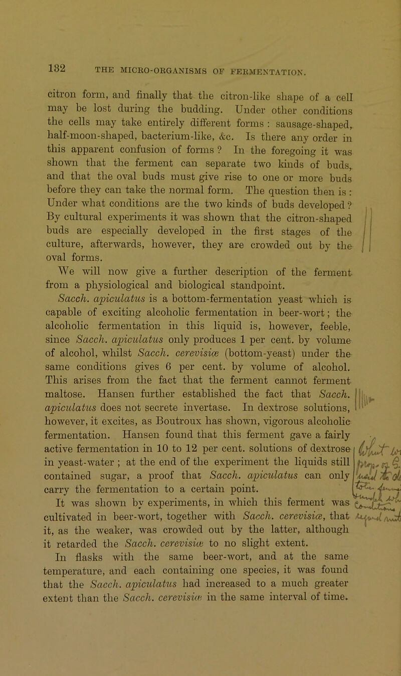 citron form, and finally tliat the citron-like sliape of a cell may be lost during the budding. Under otber conditions the cells may take entirely different forms : sausage-shaped, half-moon-shaped, bacterium-like, &c. Is there any Order in this apparent confusion of forms ? In the foregoing it was shomi that the ferment can separate two kinds of buds, and that the oval buds must give rise to one or more buds before they can take the normal form. The question then is r Under what conditions are the two kinds of buds developed ? By cultural experiments it was shown that the citron-shaped buds are especially developed in the first stages of the culture, afterwards, however, they are crowded out by the oval forms. We will now give a further description of the ferment from a physiological and biological standpoint. Sacch. apimlatus is a bottom-fermentation yeast which is capable of exciting alcoholic fermentation in beer-wort; the alcoholic fermentation in this liquid is, however, feeble, since Sacch. ajnculahos only produces 1 per cent. by volume of alcohol, whilst Sacch. cerevisice (bottom-yeast) under the same conditions gives G per cent. by volume of alcohol. This arises from the fact that the ferment cannot ferment maitose. Hansen further established the fact that Sacch. apiculatus does not secrete invertase. In dextrose Solutions, however, it excites, as Boutroux has shown, vigorous alcohohc fermentation. Hansen found that this ferment gave a fairly active fermentation in 10 to 12 per cent. Solutions of dextrose in yeast-water ; at the end of the experiment the liquids still contained sugar, a proof that Sacch. apiculatus can only carry the fermentation to a certain point. L, / j / It was shown by experiments, m which this ferment cultivated in beer-wort, together with Sacch. cerevisice, that it, as the weaker, was crowded out by the latter, although it retarded the Sacch. cerevisice to no slight extent. In fiasks with the same beer-wort, and at the same temperature, and each containing one species, it was found that the Sacch. apticulakcs had increased to a much greater extent than the Sacch. cerevisice in the same interval of time. ll»