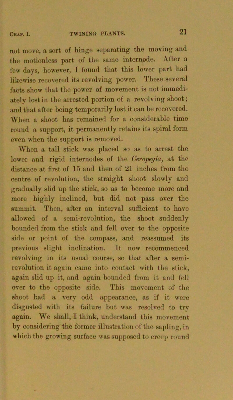 not move, a sort of hinge separating the moving and the motionless part of the same internode. After a few days, however, I found that, this lower part had likewise recovered its revolving power. These several facts show that the power of movement is not immedi- ately lost in the arrested portion of a revolving shoot; and that after being temporarily lost it can be recovered. When a shoot has remained for a considerable time round a support, it permanently retains its spiral form even when the support is removed. When a tall stick was placed so as to arrest the lower and rigid internodes of the Ceropegia, at the distance at first of 15 and then of 21 inches from the centre of revolution, the straight shoot slowly and gradually slid up the stick, so as to become more and more highly inclined, but did not pass over the summit. Then, after an interval sufficient to have allowed of a semi-revolution, the shoot suddenly bounded from the stick and fell over to the opposite side or point of the compass, and reassumed its previous slight inclination. It now recommenced revolving in its usual course, so that after a semi- revolution it again came into contact with the stick, again slid up it, and again bounded from it and fell over to the opposite side. This movement of the shoot had a very odd appearance, as if it were disgusted with its failure but was resolved to try again. We shall, I think, understand this movement by considering the former illustration of the sapling, in which the growing surface was supposed to creep round