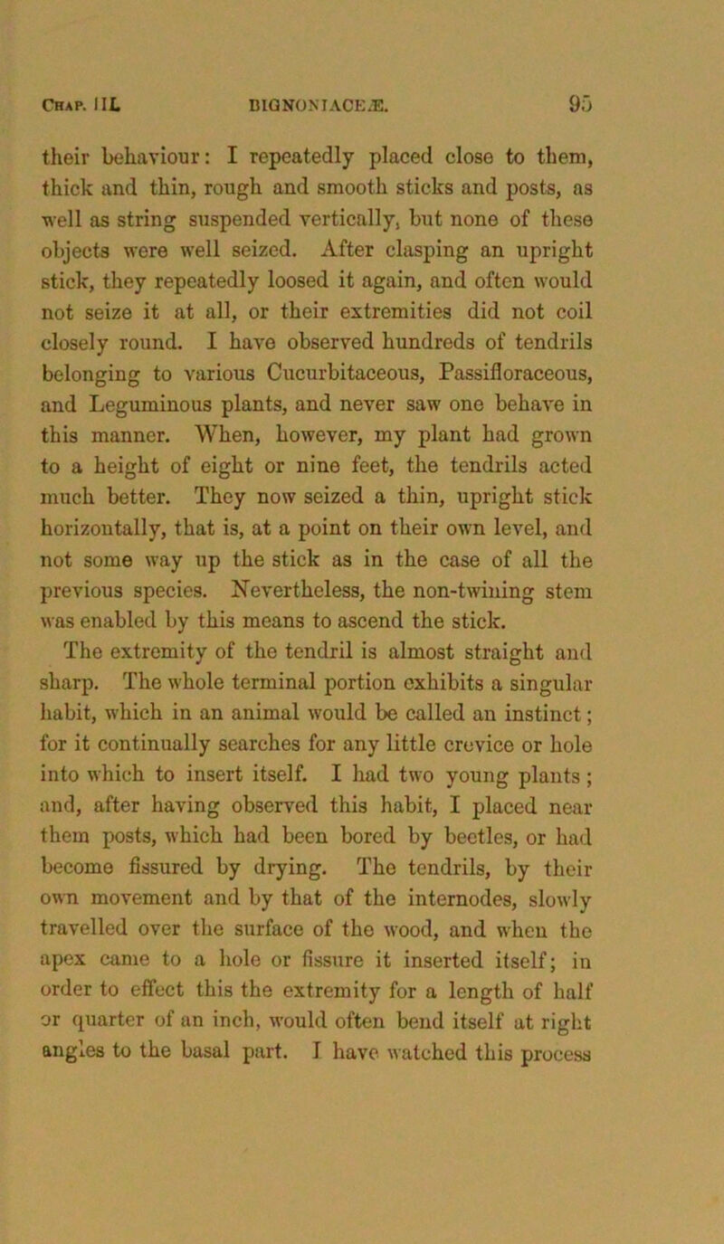 their behaviour: I repeatedly placed close to them, thick and thin, rough and smooth sticks and posts, as well as string suspended vertically, but none of these objects were well seized. After clasping an upright stick, they repeatedly loosed it again, and often would not seize it at all, or their extremities did not coil closely round. I have observed hundreds of tendrils belonging to various Cucurbitaceous, Passifloraceous, and Leguminous plants, and never saw one behave in this manner. When, however, my plant had grown to a height of eight or nine feet, the tendrils acted much better. They now seized a thin, upright stick horizontally, that is, at a point on their own level, and not some way up the stick as in the case of all the previous species. Nevertheless, the non-twining stem was enabled by this means to ascend the stick. The extremity of the tendril is almost straight and sharp. The whole terminal portion exhibits a singular habit, which in an animal would be called an instinct; for it continually searches for any little crevice or hole into which to insert itself. I had two young plants; and, after having observed this habit, I placed near them posts, which had been bored by beetles, or had become fissured by drying. The tendrils, by their own movement and by that of the internodes, slowly travelled over the surface of the wood, and when the apex came to a hole or fissure it inserted itself; in order to effect this the extremity for a length of half or quarter of an inch, would often bend itself at right angles to the basal part. I have watched this process