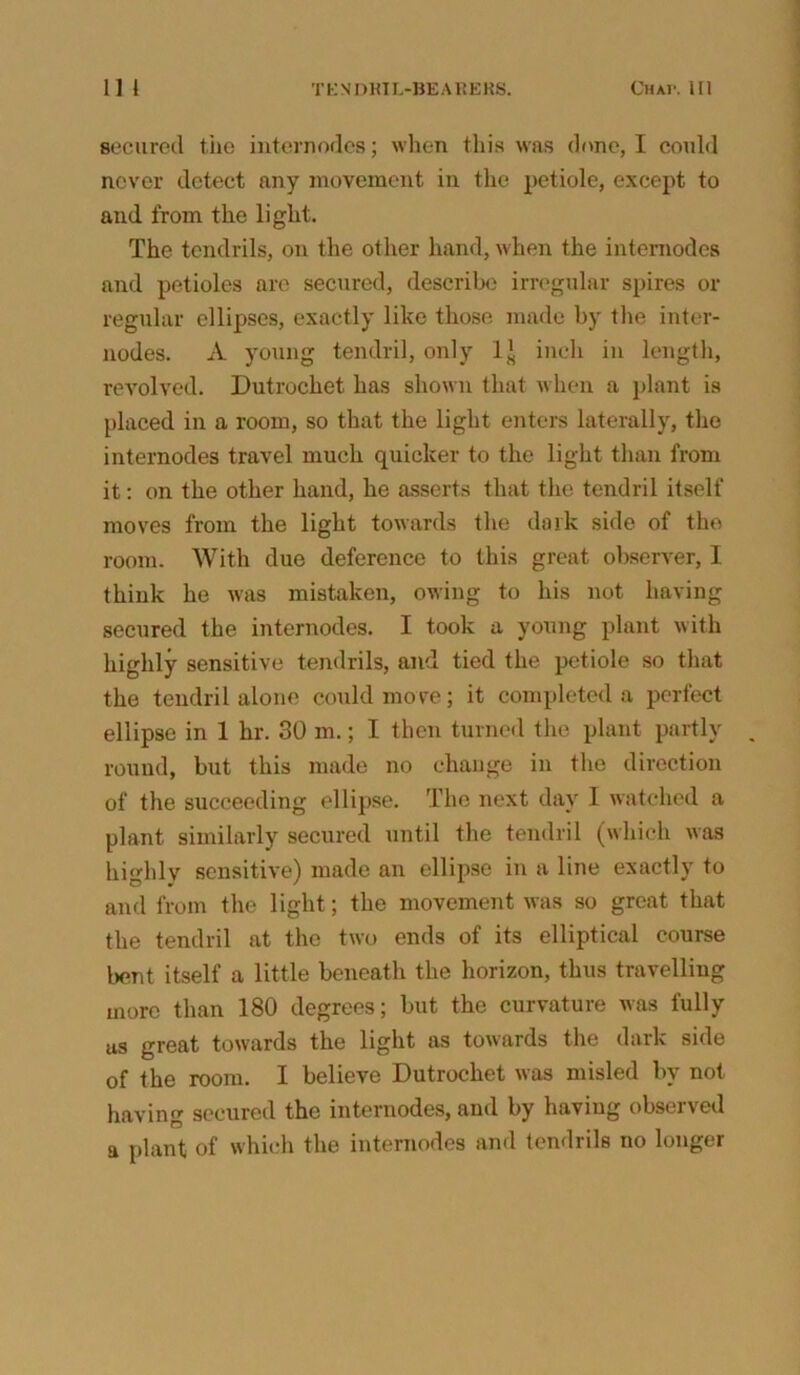 secured the internorles; when this was done, I could never detect any movement in the petiole, except to aud from the light. The tendrils, on the other hand, when the internodes and petioles are secured, describe irregular spires or regular ellipses, exactly like those made by the inter- nodes. A young tendril, only 1* inch in length, revolved. Dutrocliet has shown that when a plant is placed in a room, so that the light enters laterally, the internodes travel much quicker to the light than from it: on the other hand, he asserts that the tendril itself moves from the light towards the dark side of the room. With due deference to this great observer, I think he was mistaken, owing to his not having secured the internodes. I took a young plant with highly sensitive tendrils, and tied the petiole so that the tendril alone could move; it completed a perfect ellipse in 1 hr. 30 m.; I then turned the plant partly round, but this made no change in the direction of the succeeding ellipse. The next day I watched a plant similarly secured until the tendril (which was highly sensitive) made an ellipse in a line exactly to and from the light; the movement was so great that the tendril at the two ends of its elliptical course bent itself a little beneath the horizon, thus travelling more than 180 degrees; but the curvature was fully us great towards the light as towards the dark side of the room. I believe Dutrochet was misled by not having secured the internodes, and by having observed a plant of which the internodes and tendrils no longer