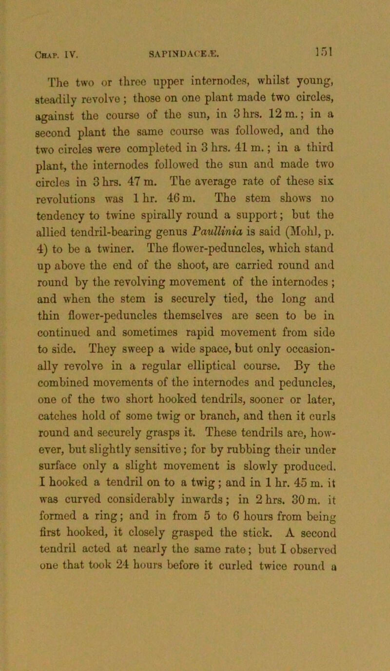 The two or three upper internodes, whilst young, steadily revolve ; those on one plant made two circles, against the course of the sun, in 3hrs. 12 m.; in a second plant the same course was followed, and the two circles were completed in 3 hrs. 41 m.; in a third plant, the internodes followed the sun and made two circles in 3 hrs. 47 m. The average rate of these six revolutions was 1 hr. 46 m. The stem shows no tendency to twine spirally round a support; but the allied tendril-bearing genus PauUinia is said (Mold, p. 4) to be a twiner. The flower-peduncles, which stand up above the end of the shoot, are carried round and round by the revolving movement of the internodes ; and when the stem is securely tied, the long and thin flowTer-peduncles themselves are seen to be in continued and sometimes rapid movement from side to side. They sweep a wide space, but only occasion- ally revolve in a regular elliptical course. By the combined movements of the internodes and peduncles, one of the two short hooked tendrils, sooner or later, catches hold of some twig or branch, and then it curls round and securely grasps it. These tendrils are, how- ever, but slightly sensitive; for by rubbing their under surface only a slight movement is slowly produced. I hooked a tendril on to a twig ; and in 1 hr. 45 m. it was curved considerably inwards; in 2 hrs. 30 m. it formed a ring; and in from 5 to 6 hours from being first hooked, it closely grasped the stick. A second tendril acted at nearly the same rate; but I observed one that took 24 hours before it curled twice round a