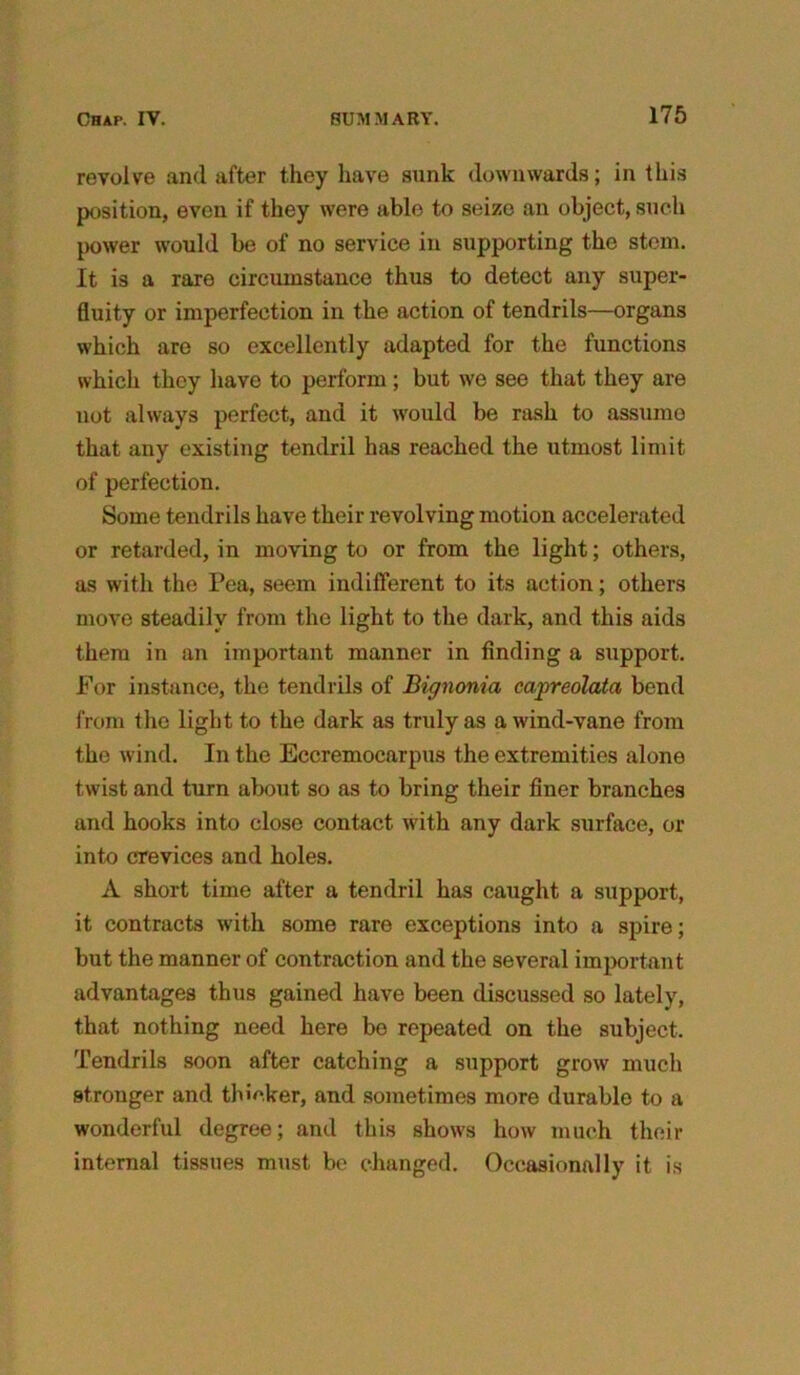 revolve and after they have sunk downwards; in this position, even if they were able to seize an object, such power would be of no service in supporting the stem. It is a rare circumstance thus to detect any super- fluity or imperfection in the action of tendrils—organs which are so excellently adapted for the functions which they have to perform ; but we see that they are not always perfect, and it would be rash to assume that any existing tendril has reached the utmost limit of perfection. Some tendrils have their revolving motion accelerated or retarded, in moving to or from the light; others, as with the Pea, seem indifferent to its action; others move steadily from the light to the dark, and this aids them in an important manner in finding a support. For instance, the tendrils of Bignonia capreolata bend from the light to the dark as truly as a wind-vane from the wind. In the Eccremocarpus the extremities alone twist and turn about so as to bring their finer branches and hooks into close contact with any dark surface, or into crevices and holes. A short time after a tendril has caught a support, it contracts with some rare exceptions into a spire; but the manner of contraction and the several important advantages thus gained have been discussed so lately, that nothing need here be repeated on the subject. Tendrils soon after catching a support grow much stronger and thicker, and sometimes more durable to a wonderful degree; and this shows how much their internal tissues must be changed. Occasionally it is