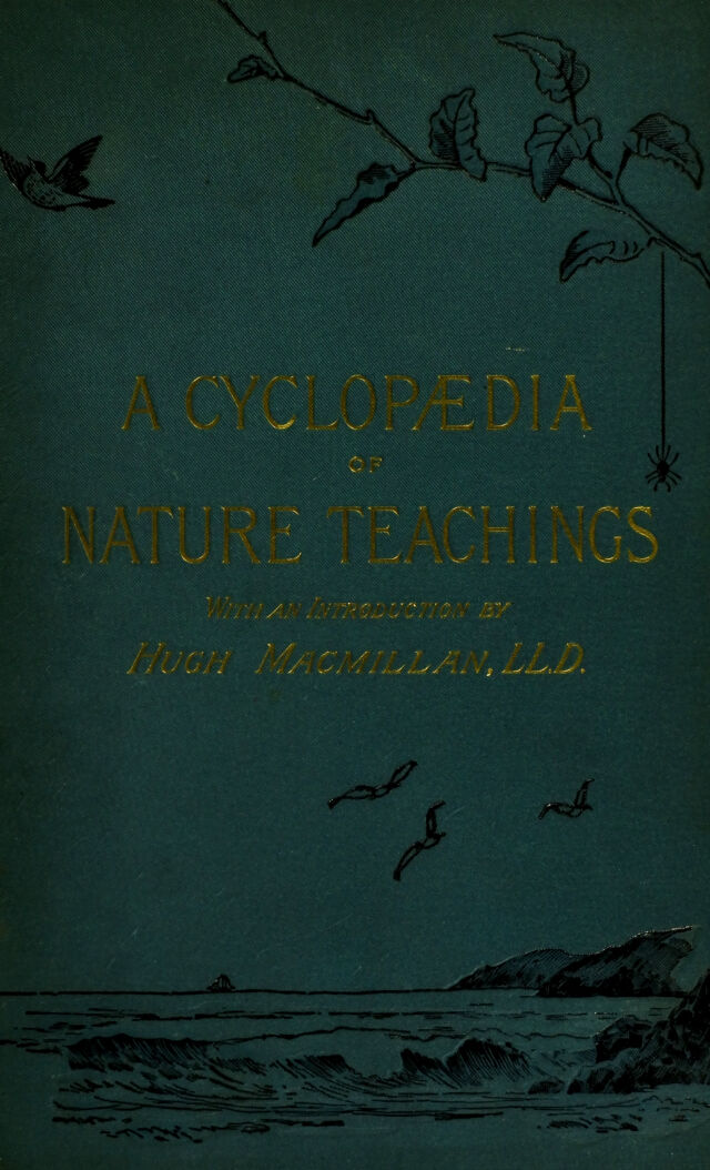 No text description is available for this image