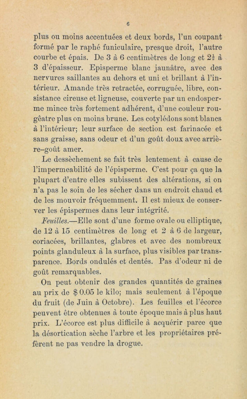 plus Olí moins accentuées et deiix bords, l’un coupant formé par le rapbé funiculaire, presque droit, l’autre coiirbe et épais. De 3 á 6 centimétres de long et 2i á 3 d’épaisseur. Episperme blanc jaunátre, avec des nervures saillantes au dehors et uni et brillant á l’in- térieiir. Amande tres retractée, corruguée, libre, con- sistance cireiise et ligneuse, couverte par un endosper- me minee tres fortement adbérent, d’une couleur rou- géatre plus on moins bruñe. Les cotylédons sont blancs á l’intérieur; leur surface de section est farinacée et sans graisse, sans odeur et d’un goút doux avec arrié- re-goút amer. Le desséchement se fait tres lentement á cause de l’impermeabilité de Tépisperme. C’est pour ga que la plupart d’entre elles subissent des altérations, si on n’a pas le soin de les sécher dans un endroit chaud et de les mouvoir fréquemment. II est mieux de conser- ver les épispermes dans leur intégrité. Feuilles.—Elle sont d’une forme ovale ou elliptique, de 12 á 15 centimétres de long et 2 á 6 de largeur, coriacées, brillantes, glabres et avec des nombreux points glanduleux á la surface, plus visibles partrans- parence. Bords ondulés et dentés. Pas d’odeur ni de goút remarquables. On peut obtenir des grandes quantités de graines au prix de % 0.05 le kilo; mais seulement á l’époque du fruit (de Juin á Octobre). Les feuilles et l’écorce peuvent étre obtenues á toute époque mais á plus haut prix. L’écorce est plus difíicile á acquérir parce que la désortication séche l’arbre et les propriétaires pré- férent ne pas vendre la drogue.