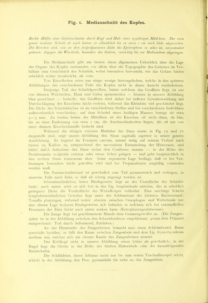 Rechte Hälfte eines Gefrierschnittes durch Kopf und Hals eines 15-jährigen Mädchens. Der vorn genau mediane Schnitt ist nach hinten zu allmählich bis zu etwa 1 cm nach links abgewichen. Die Knochen sind, ivie an dem freipräparierten Zahn des Epistropheus zu sehen ist, unverändert gelassen, dagegen die Weichteile, besonders das Gehirn, vorsichtig bis zur Medianebene abgetragen. Ein Medianschnitt gibt am besten einen allgemeinen Ueberblick über die Lage der Organe des Kopfes zueinander, vor allem über die Topographie des Gehirnes im Ver- hältnis zum Gesichtsteil des Schädels, wobei besonders hervortritt, wie das Gehirn hinten erheblich weiter herabreicht, als vorn. Von Einzelheiten seien nur einige wenige hervorgehoben, welche in den späteren Abbildungen der verschiedenen Teile des Kopfes nicht in dieser Ansicht wiederkehren. Derjenige Teil des Schädelgewölbes, hinter welchem das Großhirn liegt, ist nur von dünnen Weichteilen, Haut und Galea aponeurotica — letztere in unserer Abbildung- blau gezeichnet — bedeckt; das Großhirn wird daher bei äußerer Gewalteinwirkung- mit Durchschlagung des Knochens leicht verletzt, während das Kleinhirn viel geschützter liegt. Die Dicke des Schädeldaches ist an verschiedenen Stellen und bei verschiedenen Individuen außerordentlich verschieden; auf dem Scheitel eines kräftigen Mannes beträgt sie etwa 4—5 mm. Zu beiden Seiten der Mittellinie ist der Knochen oft recht dünn, da hier, bis zu einer Entfernung von etwa 2 cm, die Arachnoidealzotten liegen; die oft nur von einer dünnen Knochenlamelle bedeckt sind. Während die übrigen venösen Blutleiter der Dura mater in Fig. 15 und 16 dargestellt sind, zeigt unsere Abbildung den Sinus sagittalis superior in seiner ganzen Ausdehnung. Er beginnt im Foramen caecum, nimmt stetig auf seinem Verlauf nach hinten an Kaliber zu, entsprechend der successiven Einmündung der Hirnvenen, und bildet durch Aufnahme des Sinus rectus den Confluens sinuum — in der Höhe der Protuberantia occipitalis externa oder etwas höher gelegen — und geht hauptsächlich in den rechten Sinus transversus über. Seine exponierte Lage bedingt, daß er bei Ver- letzungen besonders leicht getroffen wird und .bei Trepanationen sorgfältig vermieden werden muß. Die Nasenscheidewand ist gewöhnlich zum Teil asymmetrisch und verbogen, in unserem Falle nach links, so daß sie schräg angesägt worden ist. Schwartenähnliches, festes Bindegewebe liegt an der Unterfläche der Schädel- basis; nach unten setzt es sich fort in das Lig. longitudinale anterius, das in erheblich geringerer Dicke die Vorderfläche der Wirbelkörper bekleidet. Eine mächtige Schicht lymphdrüsenähnlichen Gewebes liegt unter der Schleimhaut der hinteren Rachenwand: Tonsilla pharyngea, während weiter abwärts zwischen Oesophagus und Wirbelsäule nur eine dünne Lage lockeren Bindegewebes sich befindet, in welchem sich bei entzündlichen Prozessen der Eiter leicht nach unten senken kann (Retropharyngealabscesse). Die Zunge liegt bei geschlossenem Munde dem Gaumengewölbe an. (Die Zungen- spitze ist in der Abbildung zwischen den Schneidezähnen eingeklemmt, genau dem Präparat entsprechend: Tod durch Selbstmord, Ertrinken.) An der Hinterseite des Zungenbeines bemerkt man einen Schleimbeutel, Bursa synovialis hyoidea; er füllt den Raum zwischen Zungenbein und dem Lig. thyreohyoideum medium aus, welches sich am oberen Rande des Zungenbeines ansetzt. Der Kehlkopf steht in unserer Abbildung etwas höher als gewöhnlich; in der Regel liegt die Glottis in der Höhe des fünften Halswirbels oder der darauffolgenden Bandscheibe. Die Schilddrüse, deren Isthmus meist nur bis zum ersten Trachealknorpel reicht, schickt in der Abbildung den Proc. pyramidalis bis nahe an das Zungenbein.