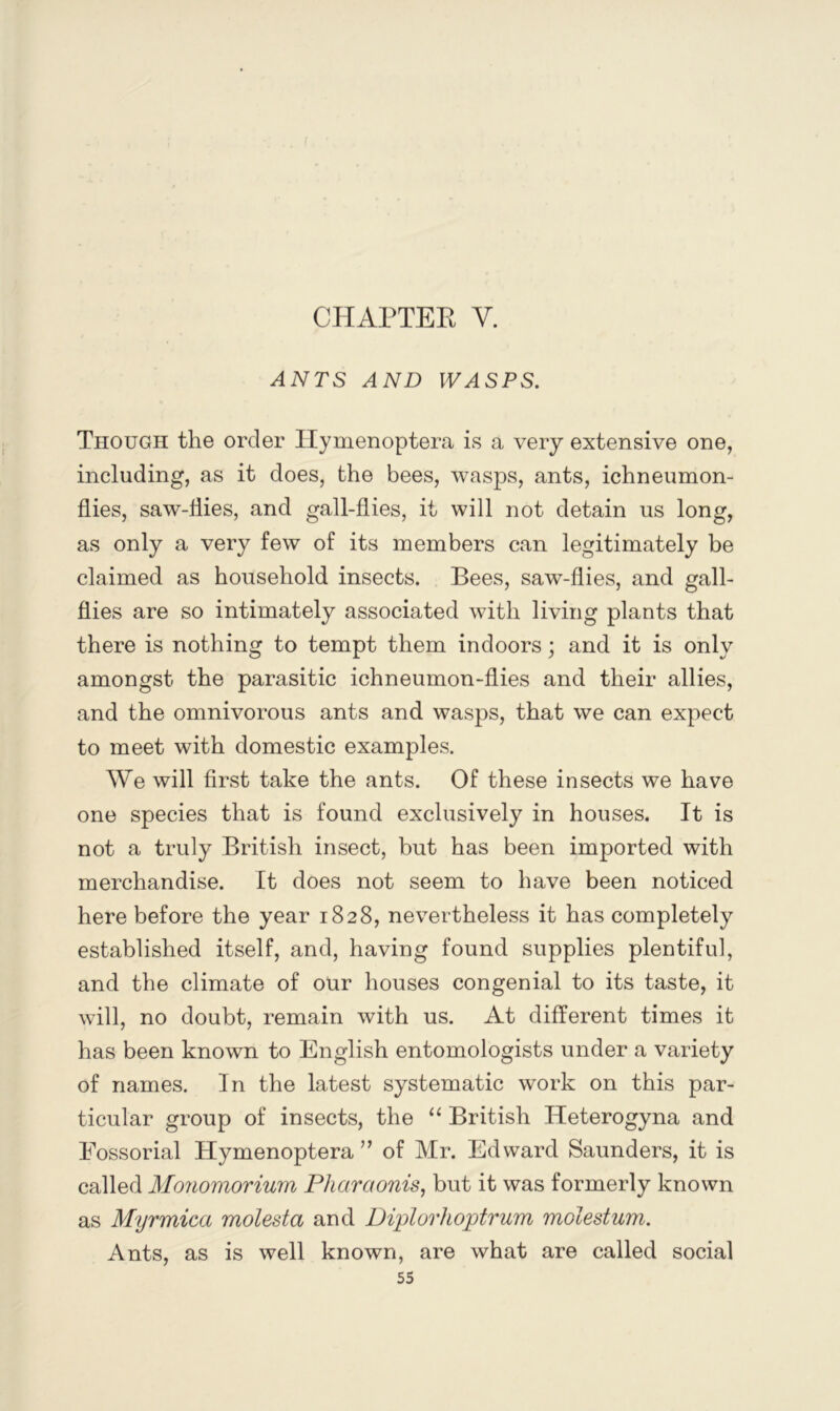 CHAPTER V. ANTS AND WASPS. Though the order ITymenoptera is a very extensive one, including, as it does, the bees, wasps, ants, ichneumon- flies, saw-flies, and gall-flies, it will not detain us long, as only a very few of its members can legitimately be claimed as household insects. Bees, saw-flies, and gall- flies are so intimately associated with living plants that there is nothing to tempt them indoors; and it is only amongst the parasitic ichneumon-flies and their allies, and the omnivorous ants and wasps, that we can expect to meet with domestic examples. We will first take the ants. Of these insects we have one species that is found exclusively in houses. It is not a truly British insect, but has been imported with merchandise. It does not seem to have been noticed here before the year 1828, nevertheless it has completely established itself, and, having found supplies plentiful, and the climate of oUr houses congenial to its taste, it will, no doubt, remain with us. At different times it has been known to English entomologists under a variety of names. In the latest systematic work on this par- ticular group of insects, the “ British Heterogyna and Eossorial Hymenoptera ” of Mr. Edward Saunders, it is called Monomorium Pharaonis, but it was formerly known as Myrmica molesta and Diplorhoptrum molestum. Ants, as is well known, are what are called social