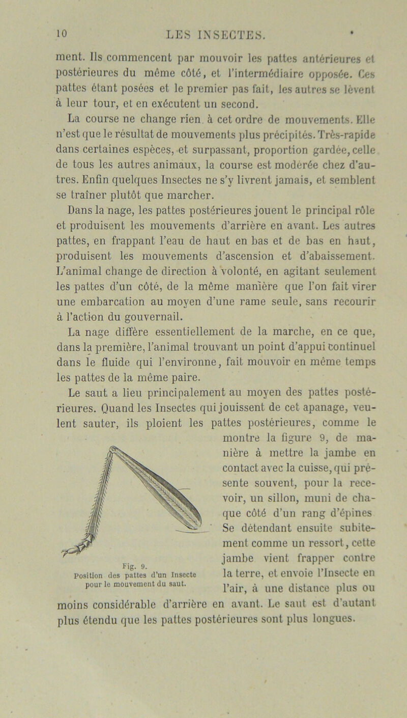 ment. Ils commencent par mouvoir les pattes antérieures et postérieures du même côté, et l’intermédiaire opposée. Ces pattes étant posées et le premier pas fait, les autres se lèvent à leur tour, et en exécutent un second. La course ne change rien à cet ordre de mouvements. Elle n’est que le résultat de mouvements plus précipités. Très-rapide dans certaines espèces, et surpassant, proportion gardée, celle de tous les autres animaux, la course est modérée chez d’au- tres. Enfin quelques Insectes ne s’y livrent jamais, et semblent se traîner plutôt que marcher. Dans la nage, les pattes postérieures jouent le principal rôle et produisent les mouvements d’arrière en avant. Les autres pattes, en frappant l’eau de haut en bas et de bas en haut, produisent les mouvements d’ascension et d’abaissement. I/animal change de direction à volonté, en agitant seulement les pattes d’un côté, de la même manière que l’on fait virer une embarcation au moyen d’une rame seule, sans recourir à l’action du gouvernail. La nage diffère essentiellement de la marche, en ce que, dans la première, l’animal trouvant un point d’appui continuel dans le fluide qui l’environne, fait mouvoir en même temps les pattes de la même paire. Le saut a lieu principalement au moyen des pattes posté- rieures. Quand les Insectes qui jouissent de cet apanage, veu- lent sauter, ils ploient les pattes postérieures, comme le montre la figure 9, de ma- nière à mettre la jambe en contact avec la cuisse, qui pré- sente souvent, pour la rece- voir, un sillon, muni de cha- que côté d’un rang d’épines Se détendant ensuite subite- ment comme un ressort, cette jambe vient frapper contre la terre, et envoie l’Insecte en l’air, à une distance plus ou moins considérable d’arrière en avant. Le saut est d’autant plus étendu que les pattes postérieures sont plus longues.
