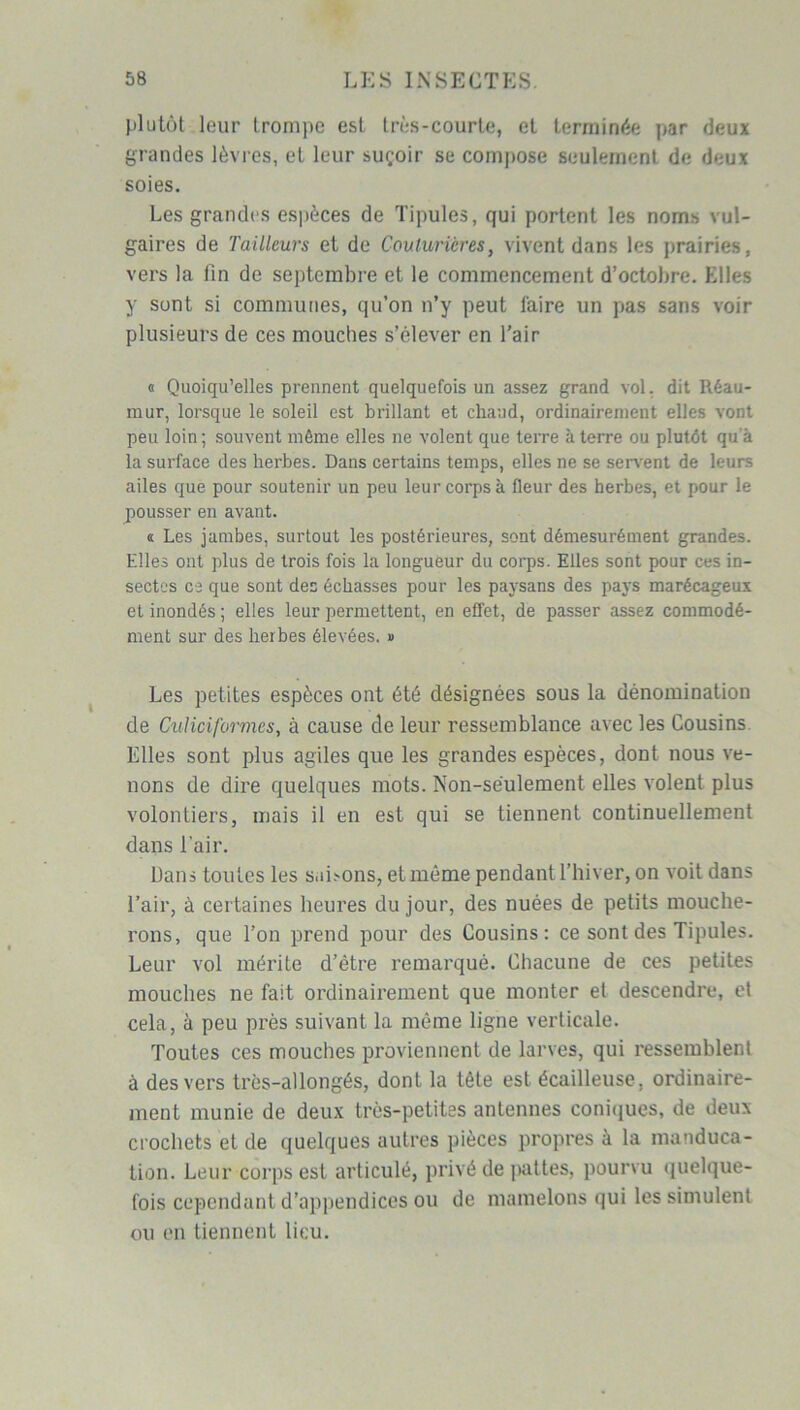 plutôt leur trompe est très-courte, et terminée par deux grandes lèvres, et leur suçoir se compose seulement de deux soies. Les grandes espèces de Tipules, qui portent les noms vul- gaires de Tailleurs et de Couturières, vivent dans les prairies, vers la fin de septembre et le commencement d’octobre. Elles y sont si communes, qu’on n’y peut faire un pas sans voir plusieurs de ces mouches s’élever en l’air « Quoiqu’elles prennent quelquefois un assez grand vol. dit Réau- mur, lorsque le soleil est brillant et chaud, ordinairement elles vont peu loin; souvent même elles ne volent que terre k terre ou plutôt qu’à la surface des herbes. Dans certains temps, elles ne se servent de leurs ailes que pour soutenir un peu leur corps à fleur des herbes, et pour le pousser en avant. <t Les jambes, surtout les postérieures, sont démesurément grandes. Elles ont plus de trois fois la longueur du corps. Elles sont pour ces in- sectes ce que sont des échasses pour les paysans des pays marécageux et inondés ; elles leur permettent, en effet, de passer assez commodé- ment sur des herbes élevées. » Les petites espèces ont été désignées sous la dénomination de Culiciformes, à cause de leur ressemblance avec les Cousins Elles sont plus agiles que les grandes espèces, dont nous ve- nons de dire quelques mots. Non-seulement elles volent plus volontiers, mais il en est qui se tiennent continuellement dans l'air. Dans toutes les saisons, et même pendant l’hiver, on voit dans l’air, à certaines heures du jour, des nuées de petits mouche- rons, que l’on prend pour des Cousins: ce sont des Tipules. Leur vol mérite d’étre remarqué. Chacune de ces petites mouches ne fait ordinairement que monter et descendre, et cela, à peu près suivant la même ligne verticale. Toutes ces mouches proviennent de larves, qui ressemblent à des vers très-allongés, dont la tête est écailleuse, ordinaire- ment munie de deux très-petites antennes coniques, de deux crochets et de quelques autres pièces propres à la manduca- tion. Leur corps est articulé, privé de pattes, pourvu quelque- fois cependant d’appendices ou de mamelons qui les simulent ou en tiennent lieu.