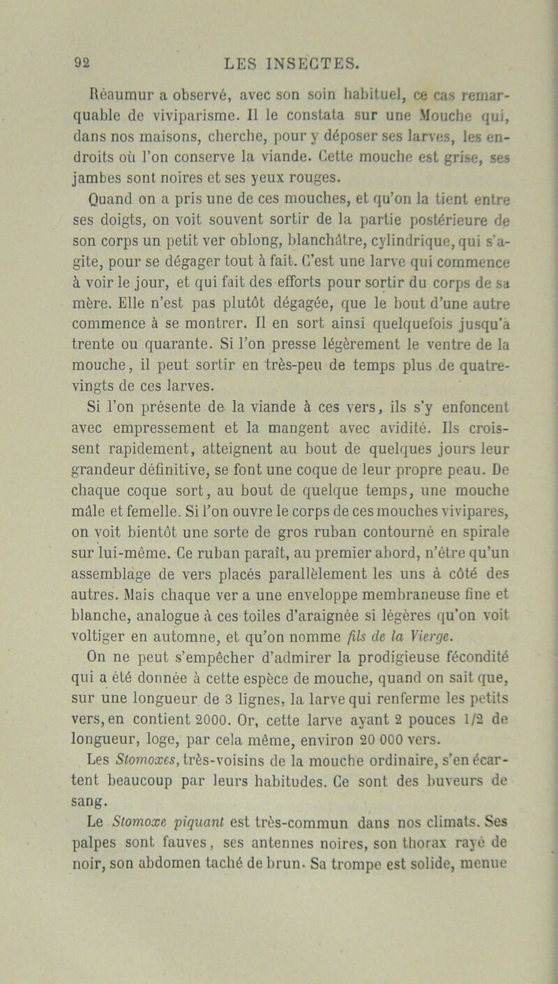 Réaumur a observé, avec son soin habituel, ce cas remar- quable de viviparisme. Il le constata sur une Mouche qui, dans nos maisons, cherche, pour y déposer ses larves, les en- droits où l’on conserve la viande. Cette mouche est grise, ses jambes sont noires et ses yeux rouges. Quand on a pris une de ces mouches, et qu’on la tient entre ses doigts, on voit souvent sortir de la partie postérieure de son corps un petit ver oblong, blanchâtre, cylindrique, qui s’a- gite, pour se dégager tout à fait. C’est une larve qui commence à voir le jour, et qui fait des efforts pour sortir du corps de sa mère. Elle n’est pas plutôt dégagée, que le bout d’une autre commence à se montrer. Il en sort ainsi quelquefois jusqu’à trente ou quarante. Si l’on presse légèrement le ventre de la mouche, il peut sortir en très-peu de temps plus de quatre- vingts de ces larves. Si l’on présente de la viande à ces vers, ils s’y enfoncent avec empressement et la mangent avec avidité. Us crois- sent rapidement, atteignent au bout de quelques jours leur grandeur définitive, se font une coque de leur propre peau. De chaque coque sort, au bout de quelque temps, une mouche mâle et femelle. Si l’on ouvre le corps de ces mouches vivipares, on voit bientôt une sorte de gros ruban contourné en spirale sur lui-même. Ce ruban paraît, au premier abord, n’être qu’un assemblage de vers placés parallèlement les uns à côté des autres. Mais chaque ver a une enveloppe membraneuse fine et blanche, analogue à ces toiles d’araignée si légères qu’on voit voltiger en automne, et qu’on nomme /ils de la Vierge. On ne peut s’empêcher d’admirer la prodigieuse fécondité qui a été donnée à cette espèce de mouche, quand on sait que, sur une longueur de 3 lignes, la larve qui renferme les petits vers, en contient 2000. Or, cette larve ayant 2 pouces 1/2 de longueur, loge, par cela même, environ 20 000 vers. Les Stomoxes, très-voisins de la mouche ordinaire, s’en écar- tent beaucoup par leurs habitudes. Ce sont des buveurs de sang. Le Siomoxe piquant est très-commun dans nos climats. Ses palpes sont fauves, ses antennes noires, son thorax rayé de noir, son abdomen taché de brun. Sa trompe est solide, menue