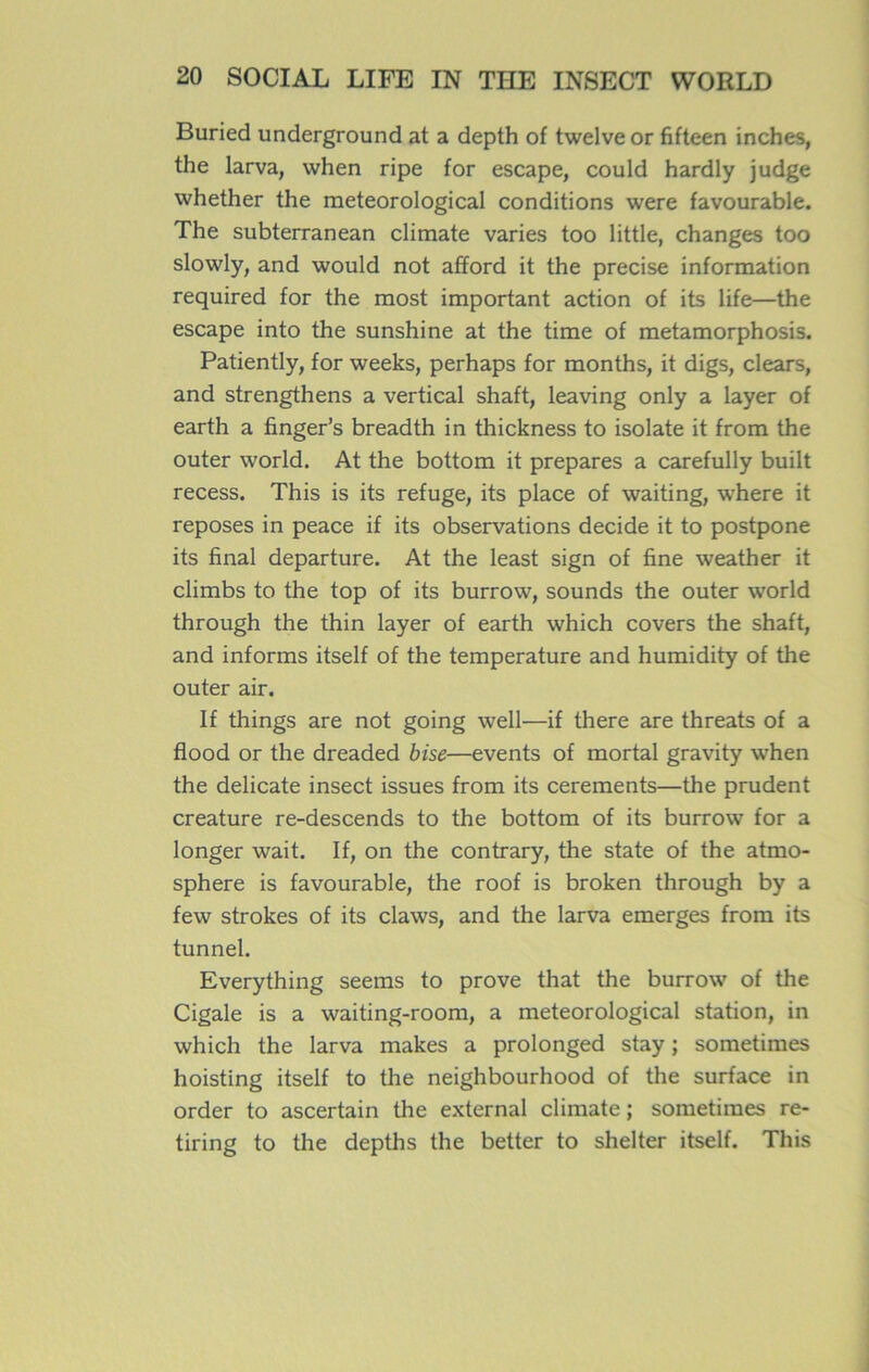 Buried underground at a depth of twelveor fifteen inches, the larva, when ripe for escape, could hardly judge whether the meteorological conditions were favourable. The subterranean climate varies too little, changes too slowly, and would not afïord it the précisé information required for the most important action of its life—the escape into the sunshine at the time of metamorphosis. Patiently, for weeks, perhaps for months, it digs, clears, and strengthens a vertical shaft, leaving only a layer of earth a finger’s breadth in thickness to isolate it from the outer world. At the bottom it préparés a carefully built recess. This is its refuge, its place of waiting, where it reposes in peace if its observations décidé it to postpone its final departure. At the least sign of fine weather it climbs to the top of its burrow, sounds the outer world through the thin layer of earth which covers the shaft, and informs itself of the température and humidity of the outer air. If things are not going well—if there are threats of a flood or the dreaded bise—events of mortal gravity when the délicate insect issues from its cerements—the prudent créature re-descends to the bottom of its burrow for a longer wait. If, on the contrary, the State of the atmo- sphère is favourable, the roof is broken through by a few strokes of its claws, and the larva emerges from its tunnel. Everything seems to prove that the burrow of the Cigale is a waiting-room, a meteorological station, in which the larva makes a prolonged stay ; sometimes hoisting itself to the neighbourhood of the surface in order to ascertain the external climate ; sometimes re- tiring to the depths the better to shelter itself. This