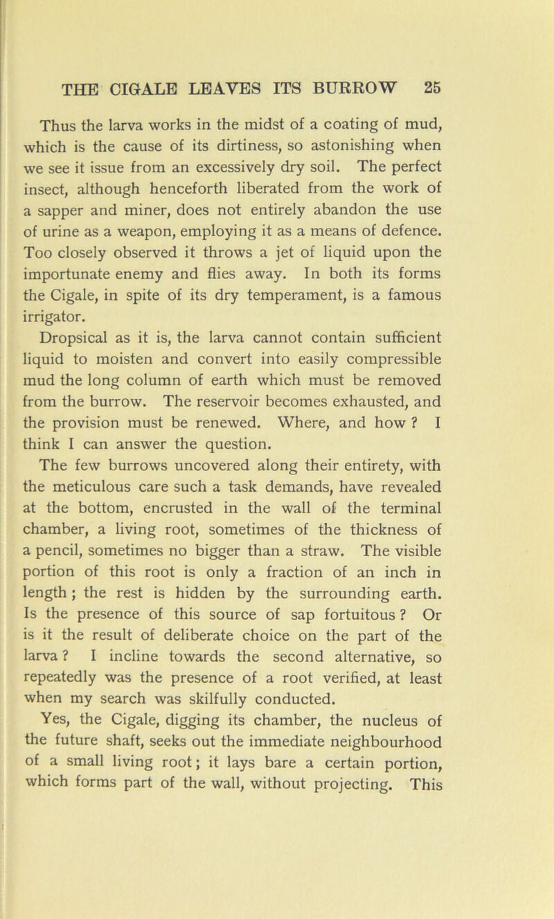 Thus the larva works in the midst of a coating of mud, which is the cause of its dirtiness, so astonishing when \ve see it issue from an excessively dry soil. The perfect insect, although henceforth liberated from the work of a sapper and miner, does not entirely abandon the use of urine as a weapon, employing it as a means of defence. Too closely observed it throws a jet of liquid upon the importunate enemy and Aies away. In both its forms the Cigale, in spite of its dry tempérament, is a famous irrigator. Dropsical as it is, the larva cannot contain sufficient liquid to moisten and convert into easily compressible mud the long column of earth which must be removed from the burrow. The réservoir becomes exhausted, and the provision must be renewed. Where, and how ? I think I can answer the question. The few burrows uncovered along their entirety, with the meticulous care such a task demands, hâve revealed at the bottom, encrusted in the wall of the terminal chamber, a living root, sometimes of the thickness of a pencil, sometimes no bigger than a straw. The visible portion of this root is only a fraction of an inch in length ; the rest is hidden by the surrounding earth. Is the presence of this source of sap fortuitous ? Or is it the resuit of deliberate choice on the part of the larva ? I incline towards the second alternative, so repeatedly was the presence of a root verified, at least when my search was skilfully conducted. Yes, the Cigale, digging its chamber, the nucléus of the future shaft, seeks out the immédiate neighbourhood of a small living root ; it lays bare a certain portion, which forms part of the wall, without projecting. This