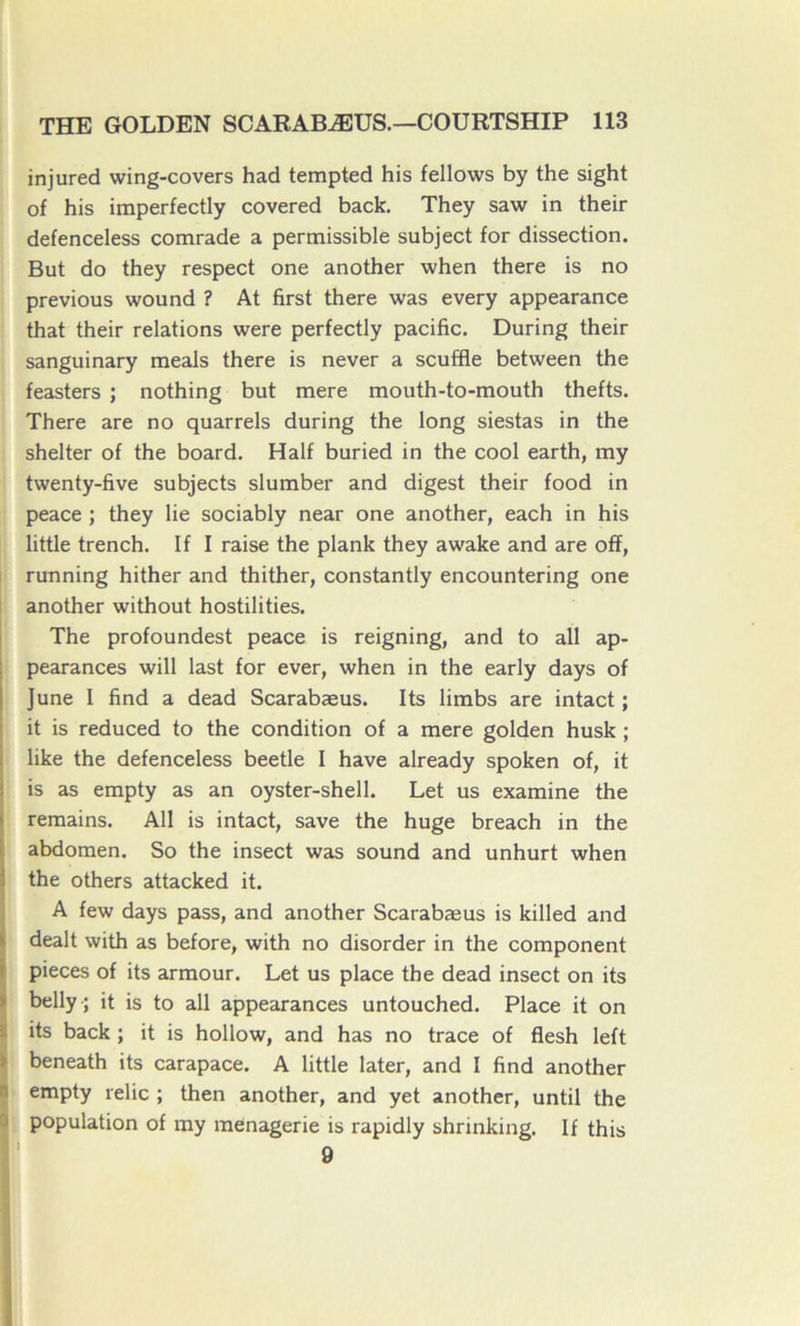 injured wing-covers had tempted his fellows by the sight of his imperfectly covered back. They saw in their defenceless comrade a permissible subject for dissection. But do they respect one another when there is no previous wound ? At first there was every appearance that their relations were perfectly pacifie. During their sanguinary meals there is never a seuffle between the feasters ; nothing but mere mouth-to-mouth thefts. There are no quarrels during the long siestas in the shelter of the board. Half buried in the cool earth, my twenty-five subjects slumber and digest their food in peace ; they lie sociably near one another, each in his little trench. If I raise the plank they awake and are off, running hither and thither, constantly encountering one another without hostilities. The profoundest peace is reigning, and to ail ap- pearances will last for ever, when in the early days of June I find a dead Scarabæus. Its limbs are intact ; it is reduced to the condition of a mere golden husk ; like the defenceless beetle I hâve already spoken of, it is as empty as an oyster-shell. Let us examine the remains. Ail is intact, save the huge breach in the abdomen. So the insect was sound and unhurt when the others attacked it. IA few days pass, and another Scarabæus is killed and dealt with as before, with no disorder in the component pièces of its armour. Let us place the dead insect on its belly-; it is to ail appearances untouched. Place it on its back ; it is hollow, and has no trace of flesh left beneath its carapace. A little later, and I find another empty relie ; then another, and yet another, until the population of my menagerie is rapidly shrinking. If this