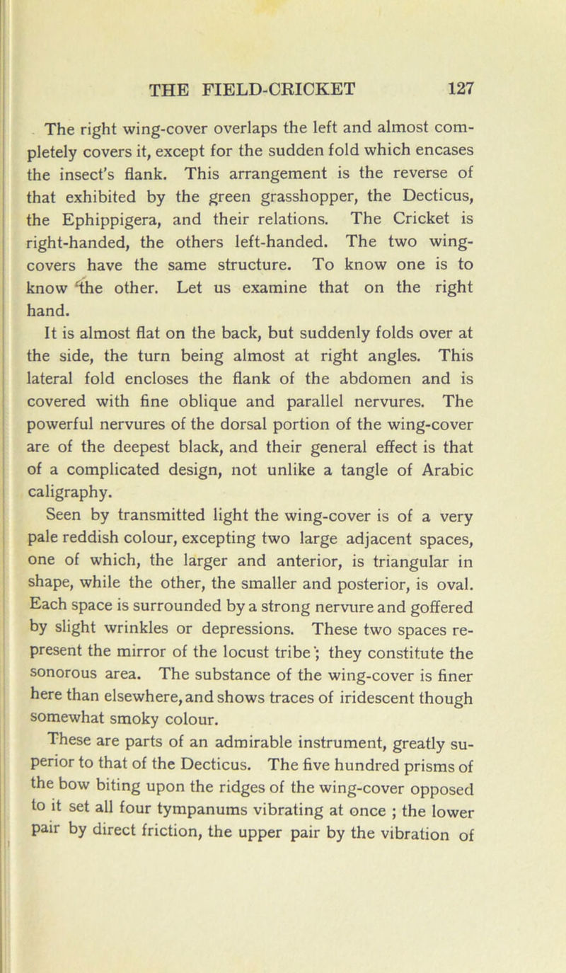 The right wing-cover overlaps the left and almost com- pletely covers it, except for the sudden fold which encases the insect’s flank. This arrangement is the reverse of that exhibited by the green grasshopper, the Decticus, the Ephippigera, and their relations. The Cricket is right-handed, the others left-handed. The two wing- covers hâve the sanie structure. To know one is to know flhe other. Let us examine that on the right hand. It is almost fiat on the back, but suddenly folds over at the side, the turn being almost at right angles. This latéral fold encloses the flank of the abdomen and is covered with fine oblique and parallel nervures. The powerful nervures of the dorsal portion of the wing-cover are of the deepest black, and their general effect is that of a complicated design, not unlike a tangle of Arabie caligraphy. Seen by transmitted light the wing-cover is of a very pale reddish colour, excepting two large adjacent spaces, one of which, the larger and anterior, is triangular in shape, while the other, the smaller and posterior, is oval. Each space is surrounded by a strong nervure and goffered by slight wrinkles or dépréssions. These two spaces re- posent the mirror of the locust tribe'; they constit.ute the sonorous area. The substance of the wing-cover is finer here than elsewhere,and shows traces of iridescent though somewhat smoky colour. These are parts of an admirable instrument, greatly su- perior to that of the Decticus. The five hundred prisms of the bow biting upon the ridges of the wing-cover opposed to it set ail four tympanums vibrating at once ; the lower pair by direct friction, the upper pair by the vibration of