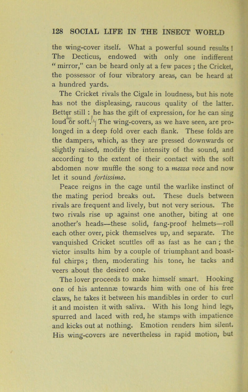 the wing-cover itself. What a powerful sound results ! The Decticus, endowed with only one indifferent “ mirror,” can be heard only at a few paces ; the Cricket, the possessor of four vibratory areas, can be heard at a hundred yards. The Cricket rivais the Cigale in loudness, but his note has not the displeasing, raucous quality of the latter. Bett^r still : he has the gift of expression, for he can sing loud Or soft. The wing-covers, as \ve hâve seen, are pro- longed in a deep fold over each flank. These folds are the dampers, which, as they are pressed downwards or slightly raised, modify the intensity of the sound, and according to the extent of their contact with the soft abdomen now muffle the song to a mezza voce and now let it sound fortissimo. Peace reigns in the cage until the warlike instinct of the mating period breaks out. These duels between rivais are frequent and lively, but not very serious. The two rivais rise up against one another, biting at one another's heads—these solid, fang-proof helmets—roll each other over, pick themselves up, and separate. The vanquished Cricket scuttles off as fast as he can ; the victor insults him by a couple of triumphant and boast- ful chirps ; then, moderating his tone, he tacks and veers about the desired one. The lover proceeds to make himself smart. Hooking one of his antennæ towards him with one of his free claws, he takes it between his mandibles in order to curl it and moisten it with saliva. With his long hind legs, spurred and laced with red, he stamps with impatience and kicks out at nothing. Emotion renders him silent. His wing-covers are nevertheless in rapid motion, but