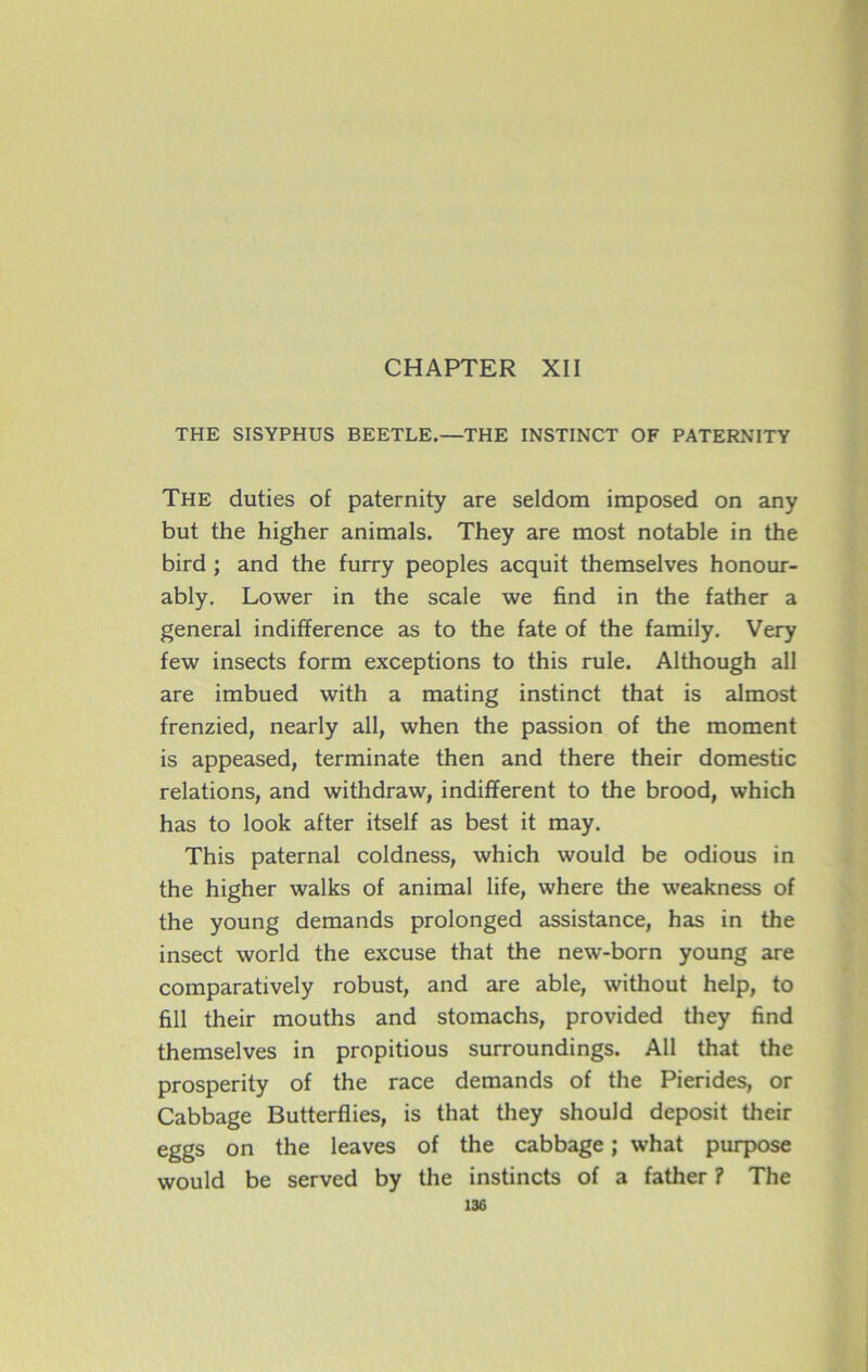 CHAPTER XII THE SISYPHUS BEETLE.—THE INSTINCT OF PATERNITY The duties of paternity are seldom imposed on any but the higher animais. They are most notable in the bird ; and the furry peoples acquit themselves honour- ably. Lower in the scale we find in the father a general indifférence as to the fate of the family. Very few insects form exceptions to this rule. Although ail are imbued with a mating instinct that is almost frenzied, nearly ail, when the passion of the moment is appeased, terminate then and there their domestic relations, and withdraw, indifferent to the brood, which has to look after itself as best it may. This paternal coldness, which would be odious in the higher walks of animal life, where the weakness of the young demands prolonged assistance, has in the insect world the excuse that the new-born young are comparatively robust, and are able, without help, to fill their mouths and stomachs, provided they find themselves in propitious surroundings. Ail that the prosperity of the race demands of the Piérides, or Cabbage Butterflies, is that they should deposit their eggs on the leaves of the cabbage ; what purpose would be served by the instincts of a father ? The