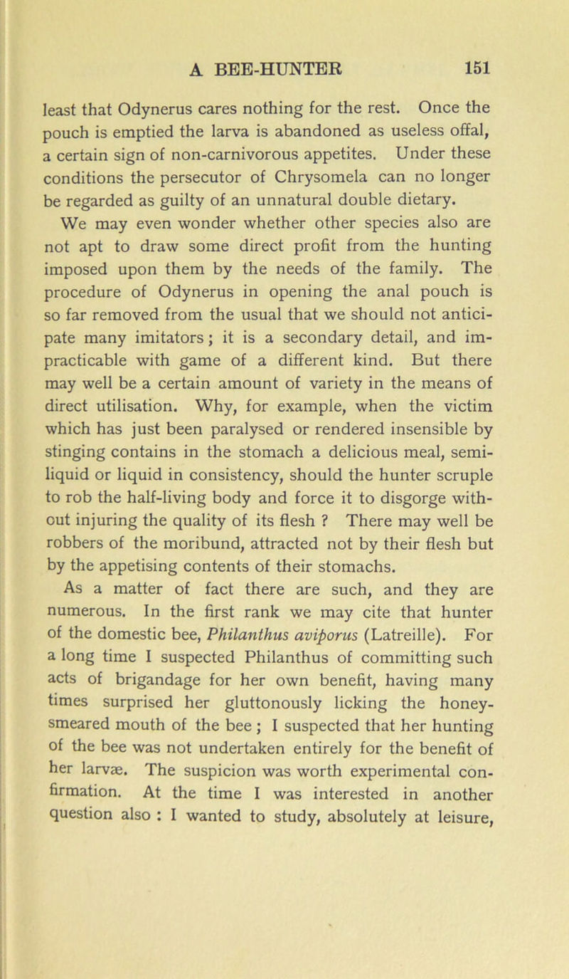 least that Odynerus cares nothing for the rest. Once the pouch is emptied the larva is abandoned as useless offal, a certain sign of non-carnivorous appetites. Under these conditions the persecutor of Chrysomela can no longer be regarded as guilty of an unnatural double dietary. We may even wonder whether other species also are not apt to draw some direct profit from the hunting imposed upon them by the needs of the family. The procedure of Odynerus in opening the anal pouch is so far removed from the usual that we should not antici- pate many imitators ; it is a secondary detail, and im- praticable with game of a different kind. But there may well be a certain amount of variety in the means of direct utilisation. Why, for example, when the victim which has just been paralysed or rendered insensible by stinging contains in the stomach a delicious meal, semi- liquid or liquid in consistency, should the hunter scruple to rob the half-living body and force it to disgorge with- cut injuring the quality of its flesh ? There may well be robbers of the moribund, attracted not by their flesh but by the appetising contents of their stomachs. As a matter of fact there are such, and they are numerous. In the first rank we may cite that hunter of the domestic bee, Philanthus aviporus (Latreille). For a long time I suspected Philanthus of committing such acts of brigandage for her own benefit, having many times surprised her gluttonously licking the honey- smeared mouth of the bee ; I suspected that her hunting of the bee was not undertaken entirely for the benefit of her larvæ. The suspicion was worth experimental con- firmation. At the time I was interested in another question also : I wanted to study, absolutely at leisure,