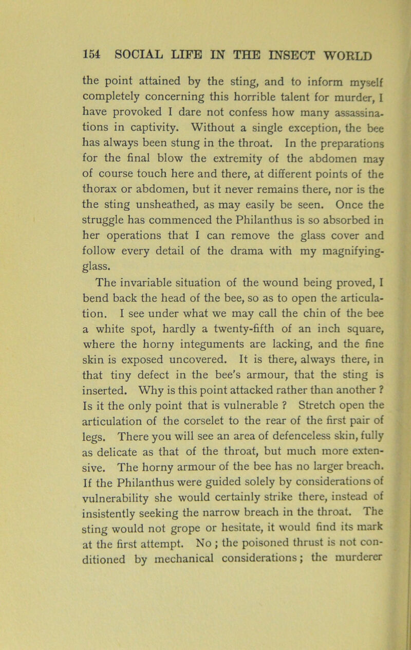 the point attained by the sting, and to inform myself completely concerning this horrible talent for murder, I hâve provoked I dare not confess how many assassina- tions in captivity. Without a single exception, the bee has always been stung in the throat. In the préparations for the final blow the extremity of the abdomen may of course touch here and there, at different points of the thorax or abdomen, but it never remains there, nor is the the sting unsheathed, as may easily be seen. Once the struggle has commenced the Philanthus is so absorbed in her operations that I can remove the glass cover and follow every detail of the drama with my magnifying- glass. The invariable situation of the wound being proved, I bend back the head of the bee, so as to open the articula- tion. I see under what we may call the chin of the bee a white spot, hardly a twenty-fifth of an inch square, where the horny integuments are lacking, and the fine skin is exposed uncovered. It is there, always there, in that tiny defect in the bee's armour, that the sting is inserted. Why is this point attacked rather than another ? Is it the only point that is vulnérable ? Stretch open the articulation of the corselet to the rear of the first pair of legs. There you will see an area of defenceless skin, fully as délicate as that of the throat, but much more exten- sive. The horny armour of the bee has no larger breach. If the Philanthus were guided solely by considérations of vulnerability she would certainly strike there, instead of insistently seeking the narrow breach in the throat. The sting would not grope or hesitate, it would find its mark at the first attempt. No ; the poisoned thrust is not con- ditioned by mechanical considérations ; the murderer
