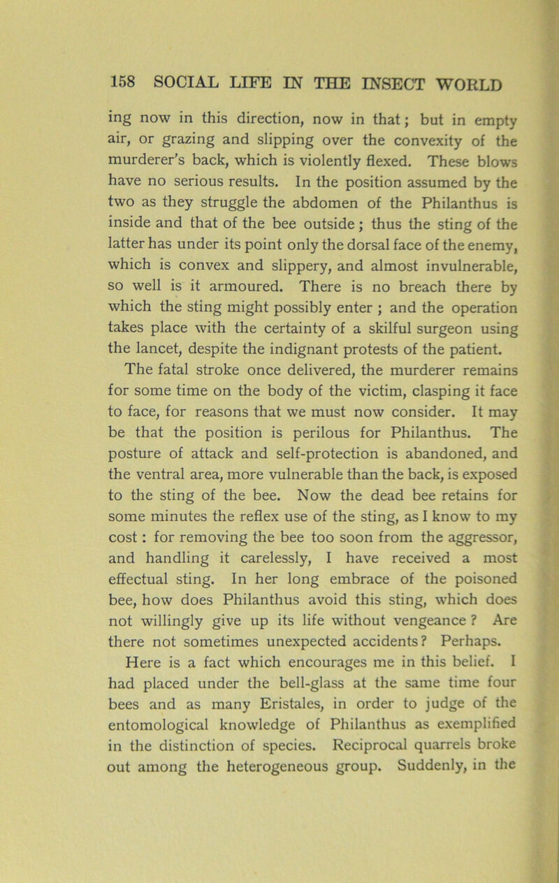 ing now in this direction, now in that ; but in empty air, or grazing and slipping over the convexity of the murderer’s back, which is violently flexed. These blows hâve no serious results. In the position assumed by the two as they struggle the abdomen of the Philanthus is inside and that of the bee outside ; thus the sting of the latter has under its point only the dorsal face of the enemy, which is convex and slippery, and almost invulnérable, so well is it armoured. There is no breach there by which the sting might possibly enter ; and the operation takes place with the certainty of a skilful surgeon using the lancet, despite the indignant protests of the patient. The fatal stroke once delivered, the murderer remains for some time on the body of the victim, clasping it face to face, for reasons that we must now consider. It may be that the position is perilous for Philanthus. The posture of attack and self-protection is abandoned, and the ventral area, more vulnérable than the back, is exposed to the sting of the bee. Now the dead bee retains for some minutes the reflex use of the sting, as I know to my cost : for removing the bee too soon from the aggressor, and handling it carelessly, I hâve received a most effectuai sting. In her long embrace of the poisoned bee, how does Philanthus avoid this sting, which does not willingly give up its life without vengeance ? Are there not sometimes unexpected accidents? Perhaps. Here is a fact which encourages me in this belief. I had placed under the bell-glass at the same time four bees and as many Eristales, in order to judge of the entomological knowledge of Philanthus as exemplified in the distinction of species. Reciprocal quarrels broke out among the heterogeneous group. Suddenly, in the