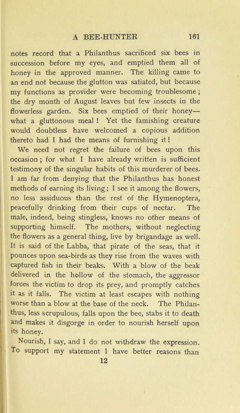 notes record that a Philanthus sacrificed six bees in succession before ray eyes, and emptied them ail of honey in the approved manner. The killing came to an end not because the glutton was satiated, but because my functions as provider were becoming troublesome ; the dry month of August leaves but few insects in the flowerless garden. Six bees emptied of their honey— what a gluttonous meal ! Yet the famishing créature would doubtless hâve welcomed a copious addition thereto had I had the means of furnishing it ! We need not regret the failure of bees upon this occasion ; for what I hâve already written is sufficient testimony of the singular habits of this murderer of bees. I am far from denying that the Philanthus has honest methods of earning its living ; I see it among the flowers, no less assiduous than the rest of the Hymenoptera, peacefully drinking from their cups of nectar. The male, indeed, being stingless, knows no other means of supporting himself. The mothers, without neglecting the flowers as a general thing, live by brigandage as well. It is said of the Labba, that pirate of the seas, that it pounces upon sea-birds as they rise from the waves with captured fish in their beaks. With a blow of the beak delivered in the hollow of the stomach, the aggressor forces the victim to drop its prey, and promptly catches it as it falls. The victim at least escapes with nothing worse than a blow at the base of the neck. The Philan- thus, less scrupulous, falls upon the bee, stabs it to death and makes it disgorge in order to nourish herself upon its honey. Nourish, I say, and I do not withdraw the expression. To support my statement I hâve better reasons than 12