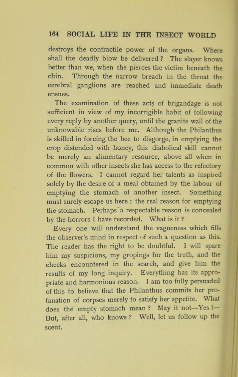 destroys the contractile power of the organs. Where shall the deadly blow be delivered ? The slayer knows better than we, when she pierces the victim beneath the chin. Through the narrow breach in the throat the cérébral ganglions are reached and immédiate death ensues. The examination of these acts of brigandage is not sufftcient in view of my incorrigible habit of following every reply by another query, until the granité wall of the unknowable rises before me. Although the Philanthus is skilled in forcing the bee to disgorge, in emptying the crop distended with honey, this diabolical skill cannot be merely an alimentary resource, above ail when in common with other insects she has access to the refectory of the flowers. I cannot regard her talents as inspired solely by the desire of a meal obtained by the labour of emptying the stomach of another insect. Something must surely escape us here : the real reason for emptying the stomach. Perhaps a respectable reason is concealed by the horrors I hâve recorded. What is it ? Every one will understand the vagueness which fills the observer’s mind in respect of such a question as this. The reader has the right to be doubtful. I will spare him my suspicions, my gropings for the truth, and the checks encountered in the search, and give him the results of my long inquiry. Everything has its appro- priate and harmonious reason. I am too fully persuaded of this to believe that the Philanthus commits her pro- fanation of corpses merely to satisfy her appetite. What does the empty stomach mean ? May it not—Yes !— But, after ail, who knows ? Well, let us follow up the scent.