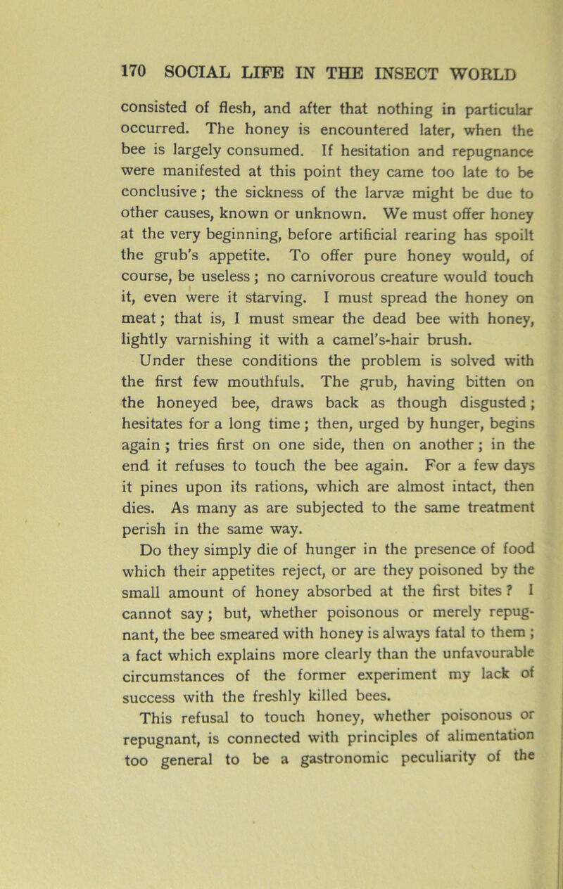 consistée! of flesh, and after that nothing in particular occurred. The honey is encountered later, when the bee is Jargely consumed. If hésitation and répugnance were manifested at this point they came too late to be conclusive ; the sickness of the larvæ might be due to other causes, known or unknown. We must offer honey at the very beginning, before artificial rearing has spoilt the grub’s appetite. To offer pure honey would, of course, be useless ; no carnivorous créature would touch it, even were it starving. I must spread the honey on méat ; that is, I must smear the dead bee with honey, lightly varnishing it with a camel’s-hair brush. Under these conditions the problem is solved with the first few mouthfuls. The grub, having bitten on the honeyed bee, draws back as though disgusted ; hésitâtes for a long time ; then, urged by hunger, begins again ; tries first on one side, then on another ; in the end it refuses to touch the bee again. For a few days it pines upon its rations, which are almost intact, then dies. As many as are subjected to the same treatment perish in the same way. Do they simply die of hunger in the presence of food which their appetites reject, or are they poisoned by the small amount of honey absorbed at the first bites ? I cannot say ; but, whether poisonous or merely répug- nant, the bee smeared with honey is always fatal to them ; a fact which explains more clearly than the unfavourable circumstances of the former experiment my lack of success with the freshly killed bees. This refusai to touch honey, whether poisonous or répugnant, is connected with principles of alimentation too general to be a gastronomie peculiarity of the