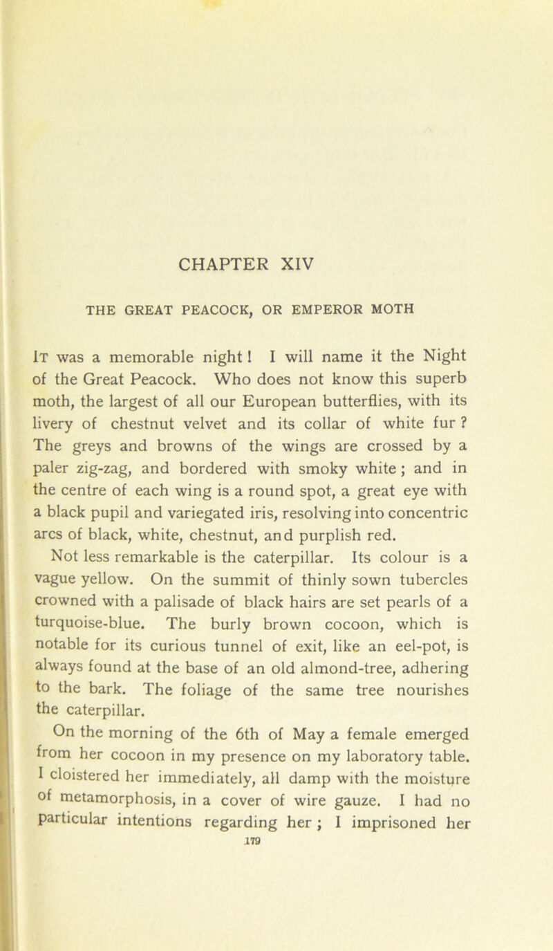 CHAPTER XIV THE GREAT PEACOCK, OR EMPEROR MOTH 1t was a mémorable night ! I will name it the Night of the Great Peacock. Who does not know this superb moth, the largest of ail our European butterflies, with its livery of chestnut velvet and its collar of white fur ? The greys and browns of the wings are crossed by a paler zig-zag, and bordered with smoky white ; and in the centre of each wing is a round spot, a great eye with a black pupil and variegated iris, resolving into concentric arcs of black, white, chestnut, and purplish red. Not less remarkable is the Caterpillar. Its colour is a vague yellow. On the summit of thinly sown tubercles crowned with a palisade of black hairs are set pearls of a turquoise-blue. The burly brown cocoon, which is notable for its curious tunnel of exit, like an eel-pot, is always found at the base of an old almond-tree, adhering to the bark. The foliage of the same tree nourishes the Caterpillar. On the morning of the 6th of May a female emerged from her cocoon in my presence on my laboratory table. I cloistered her immediately, ail damp with the moisture of metamorphosis, in a cover of wire gauze. I had no particular intentions regarding her ; I imprisoned her J 79