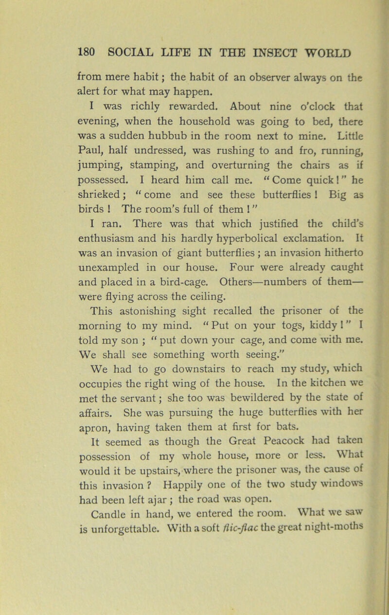 from mere habit ; the habit of an observer always on the alert for what may happen. I was richly rewarded. About nine o’clock that evening, when the household was going to bed, there was a sudden hubbub in the room next to mine. Little Paul, half undressed, was rushing to and fro, running, jumping, stamping, and overturning the chairs as if possessed. I heard him call me. “ Corne quick ! ” he shrieked ; “ corne and see these butterflies 1 Big as birds 1 The room’s full of them 1  I ran. There was that which justified the child’s enthusiasm and his hardly hyperbolical exclamation. It was an invasion of giant butterflies ; an invasion hitherto unexampled in our house. Four were already caught and placed in a bird-cage. Others—numbers of them— were flying across the ceiling. This astonishing sight recalled the prisoner of the morning to my mind. “ Put on your togs, kiddy 1  I told my son ; “ put down your cage, and corne with me. We shall see something worth seeing.” We had to go downstairs to reach my study, which occupies the right wing of the house. In the kitchen we met the servant ; she too was bewildered by the State of affairs. She was pursuing the huge butterflies with her apron, having taken them at first for bats. It seemed as though the Great Peacock had taken possession of my whole house, more or less. What would it be upstairs, where the prisoner was, the cause of this invasion ? Happily one of the two study Windows had been left ajar ; the road was open. Candie in hand, we entered the room. What we saw is unforgettable. With a soft flic-Jlac the great night-moths
