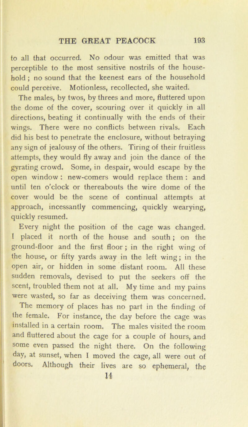 to ail that occurred. No odour was emitted that was perceptible to the most sensitive nostrils of the house- hold ; no sound that the keenest ears of the household could percèive. Motionless, recollected, she waited. The males, by twos, by threes and more, fluttered upon the dôme of the cover, scouring over it quickly in ail directions, beating it continually with the ends of their wings. There were no conflicts between rivais. Each did his best to penetrate the enclosure, without betraying any sign of jealousy of the others. Tiring of their fruitless attempts, they would fly away and join the dance of the gyrating crowd. Some, in despair, would escape by the open window : new-comers would replace them : and until ten o’clock or thereabouts the wire dôme of the cover would be the scene of continuai attempts at approach, incessantly commencing, quickly wearying, quickly resumed. Every night the position of the cage was changed. I placed it north of the house and south ; on the ground-floor and the first floor ; in the right wing of the house, or fifty yards away in the left wing; in the open air, or hidden in some distant room. Ail these sudden removals, devised to put the seekers off the scent, troubled them not at ail. My time and my pains were wasted, so far as deceiving them was concerned. The memory of places has no part in the finding of the female. For instance, the day before the cage was installed in a certain room. The males visited the room and fluttered about the cage for a couple of hours, and some even passed the night there. On the following day, at sunset, when I moved the cage, ail were out of doors. Although their lives are so ephemeral, the U