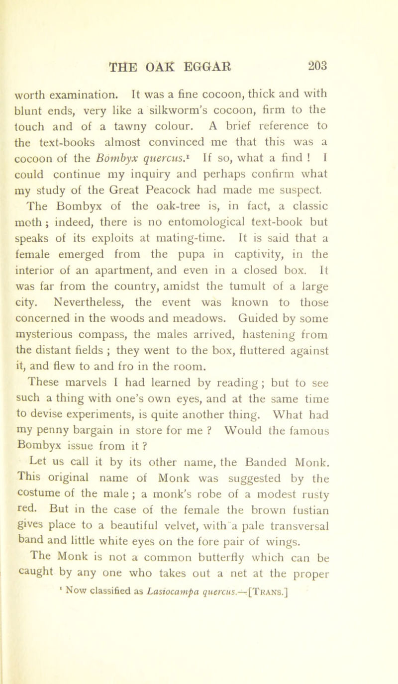 worth examination. It was a fine cocoon, thick and with blunt ends, very like a silkworm’s cocoon, firm to the touch and of a tawny colour. A brief reference to the text-books almost convinced me that this was a cocoon of the Bombyx quercus.x If so, what a find ! I could continue my inquiry and perhaps confirm what my study of the Great Peacock had made me suspect. The Bombyx of the oak-tree is, in fact, a classic moth ; indeed, there is no entomological text-book but speaks of its exploits at mating-time. It is said that a female emerged from the pupa in captivity, in the interior of an apartment, and even in a closed box. It was far from the country, amidst the tumult of a large city. Nevertheless, the event was known to those concerned in the woods and meadows. Guided by some mysterious compass, the males arrived, hastening from the distant fields ; they went to the box, fluttered against it, and flew to and fro in the room. These marvels I had learned by reading ; but to see such a thing with one’s own eyes, and at the same time to devise experiments, is quite another thing. What had my penny bargain in store for me ? Would the famous Bombyx issue from it ? Let us call it by its other name, the Banded Monk. This original name of Monk was suggested by the costume of the male ; a monk’s robe of a modest rusty red. But in the case of the female the brown fustian gives place to a beautiful velvet, with a pale transversal band and little white eyes on the fore pair of wings. The Monk is not a common butterfly which can be caught by any one who takes out a net at the proper 1 Now classified as Lasiocampa quercus.— [Trans.]
